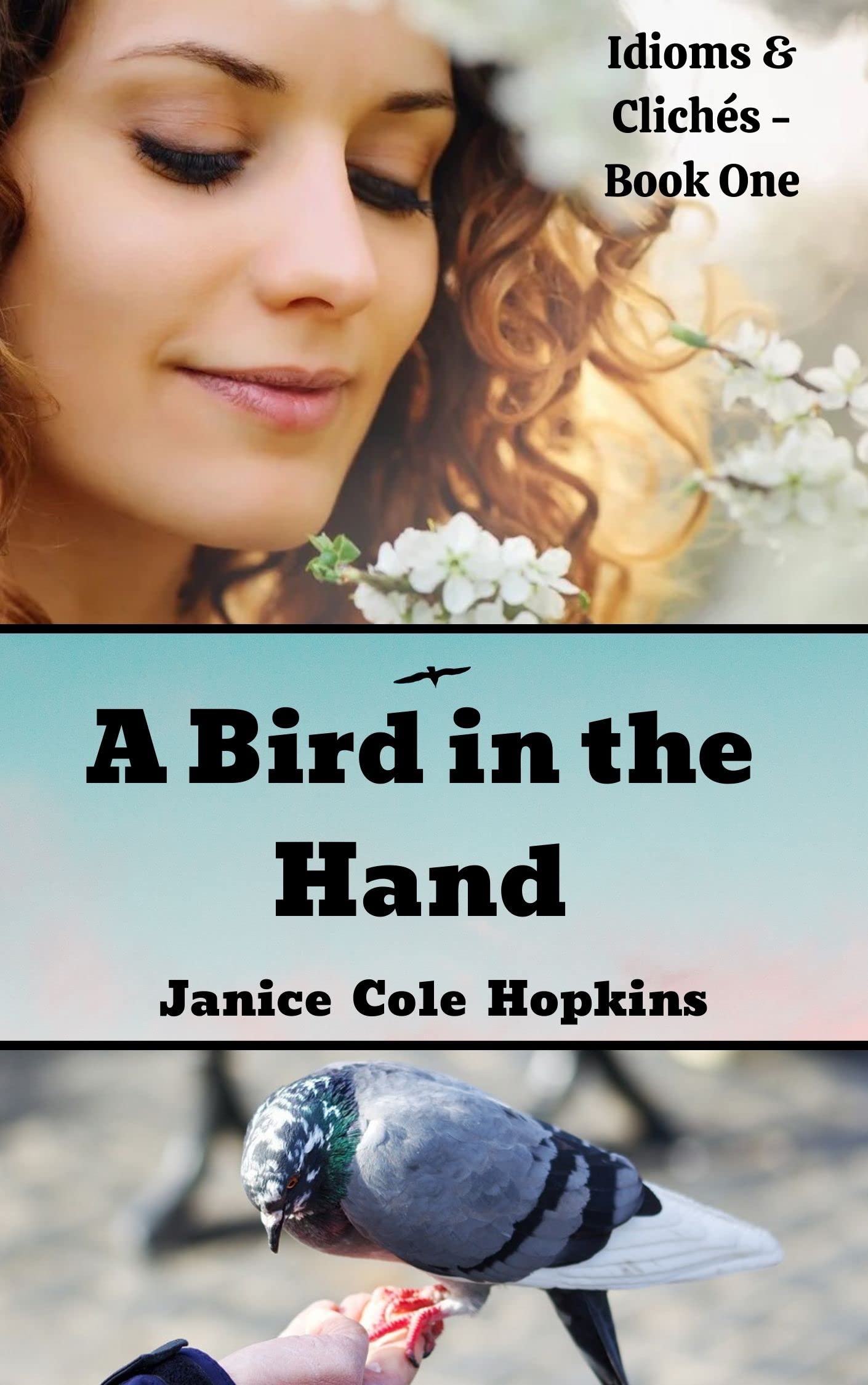 A Bird in the Hand (Idioms & Clichés Book 1) by Janice Cole Hopkins Goodreads