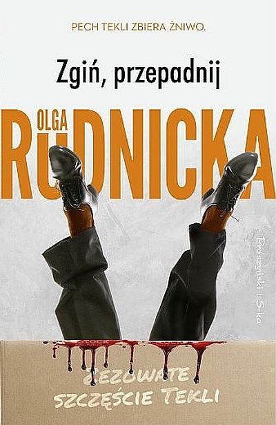 Zgiń, przepadnij book cover