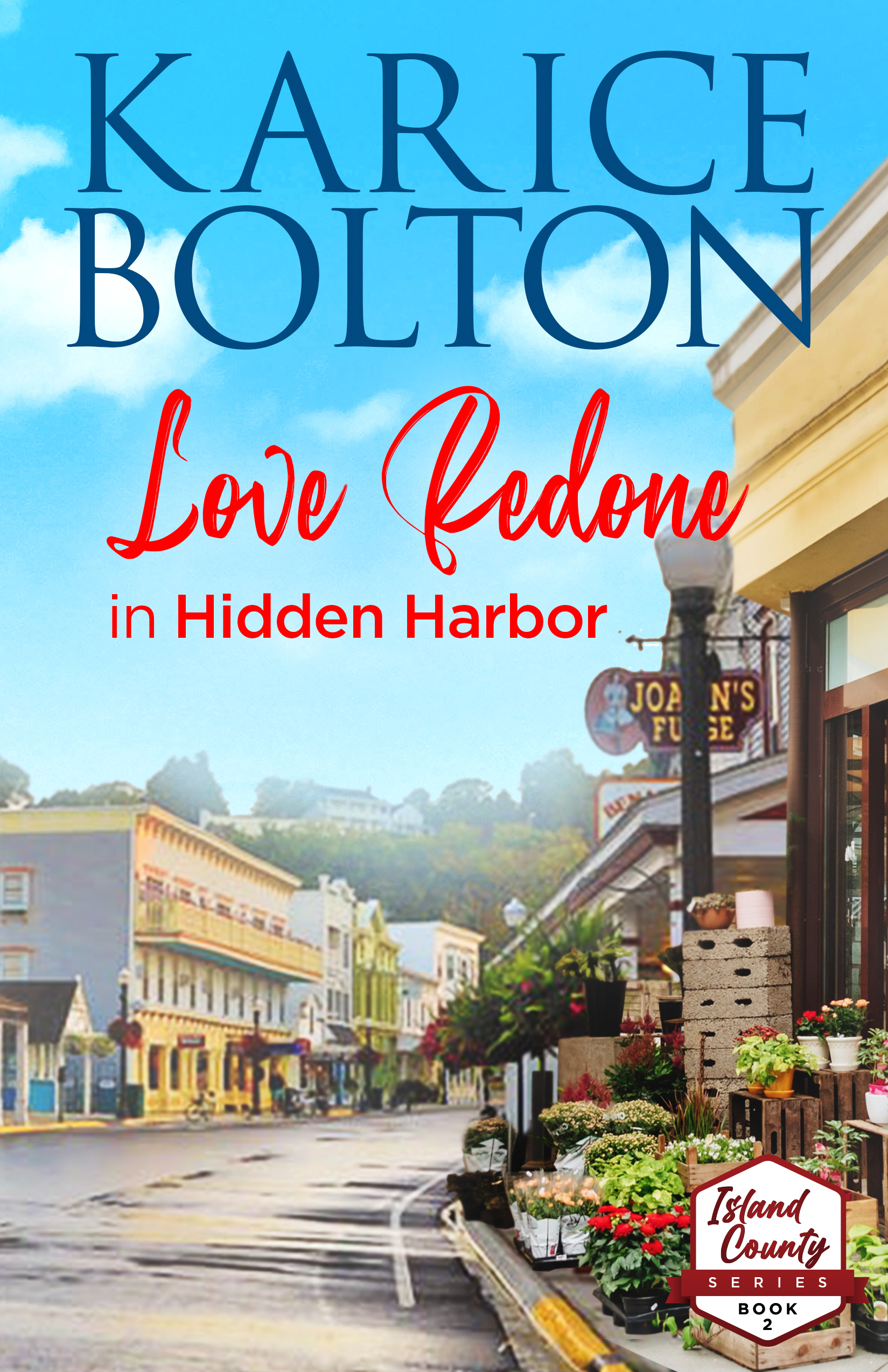 Island County book cover 2