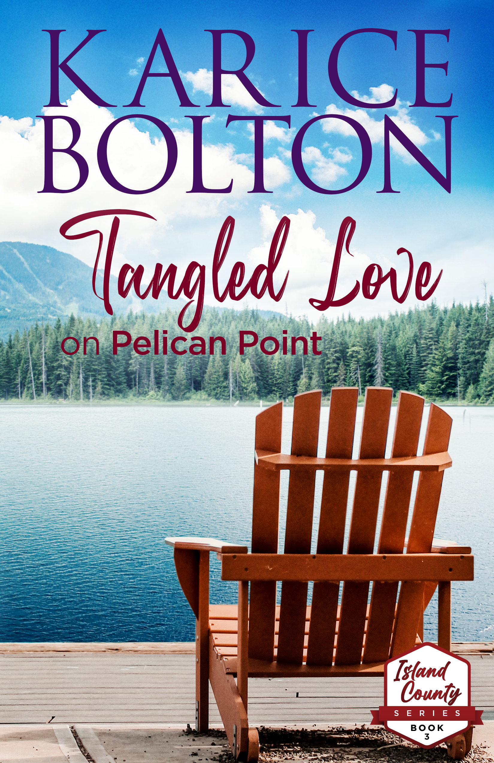 Island County book cover 3