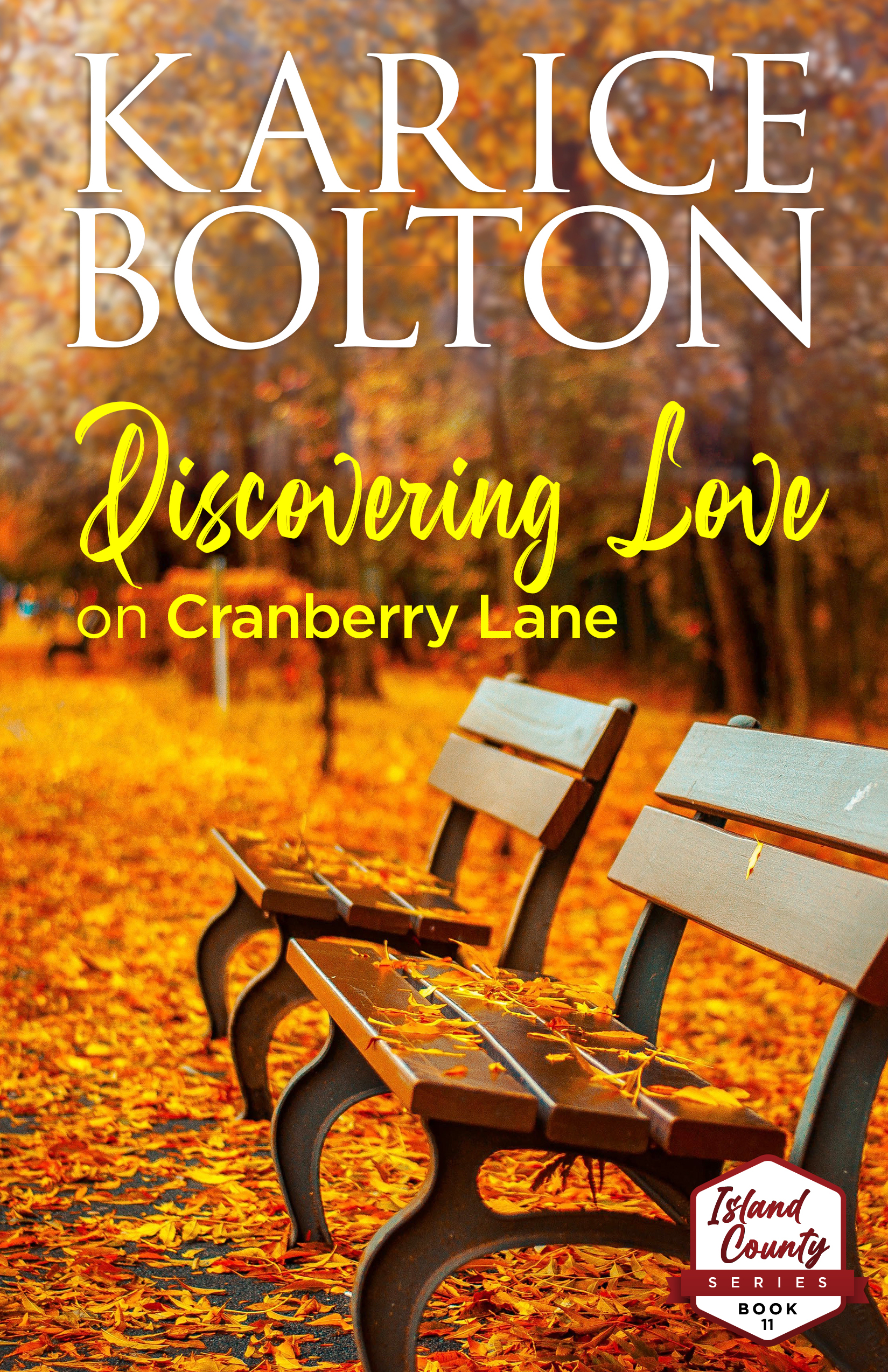 Discovering Love on Cranberry Lane book cover