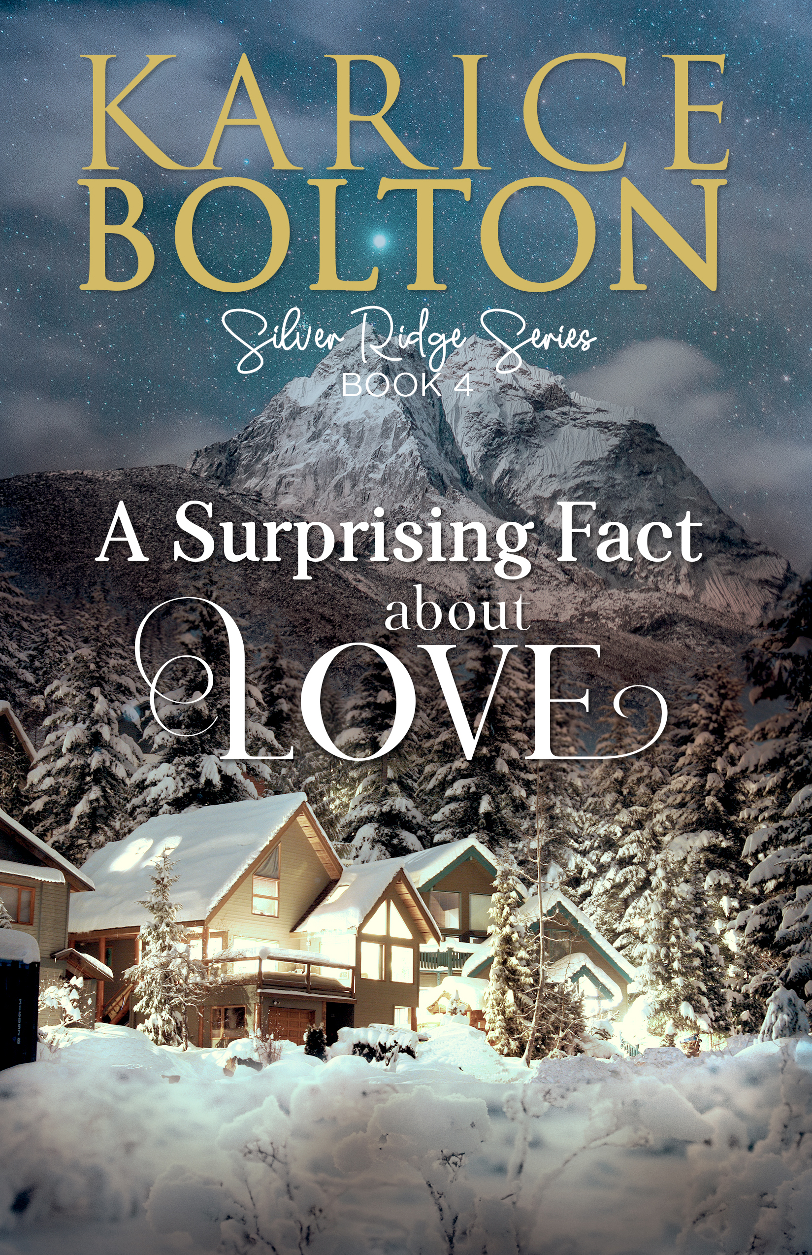 Silver Ridge book cover 3