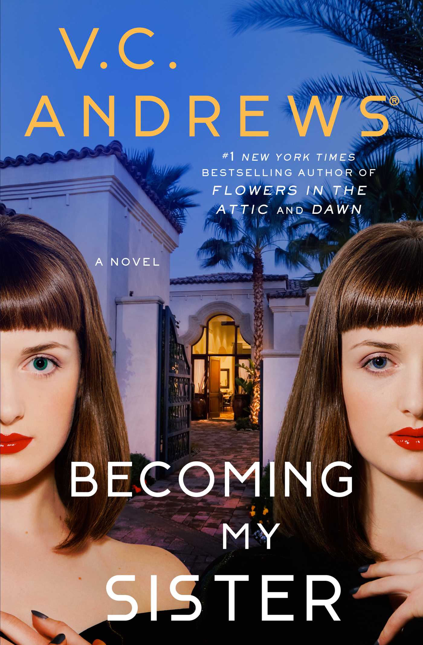 Becoming My Sister book cover