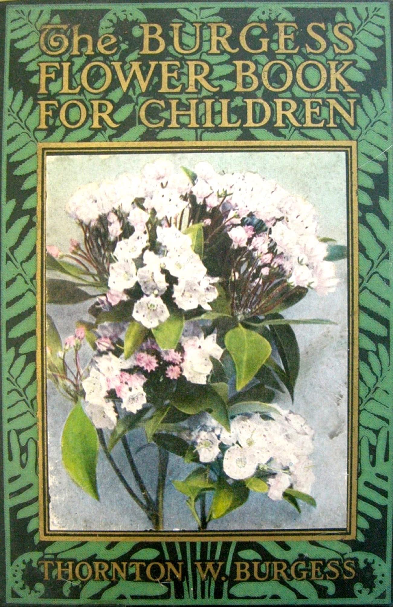 The Burgess Flower Book First Edition Full Colour by Thornton W