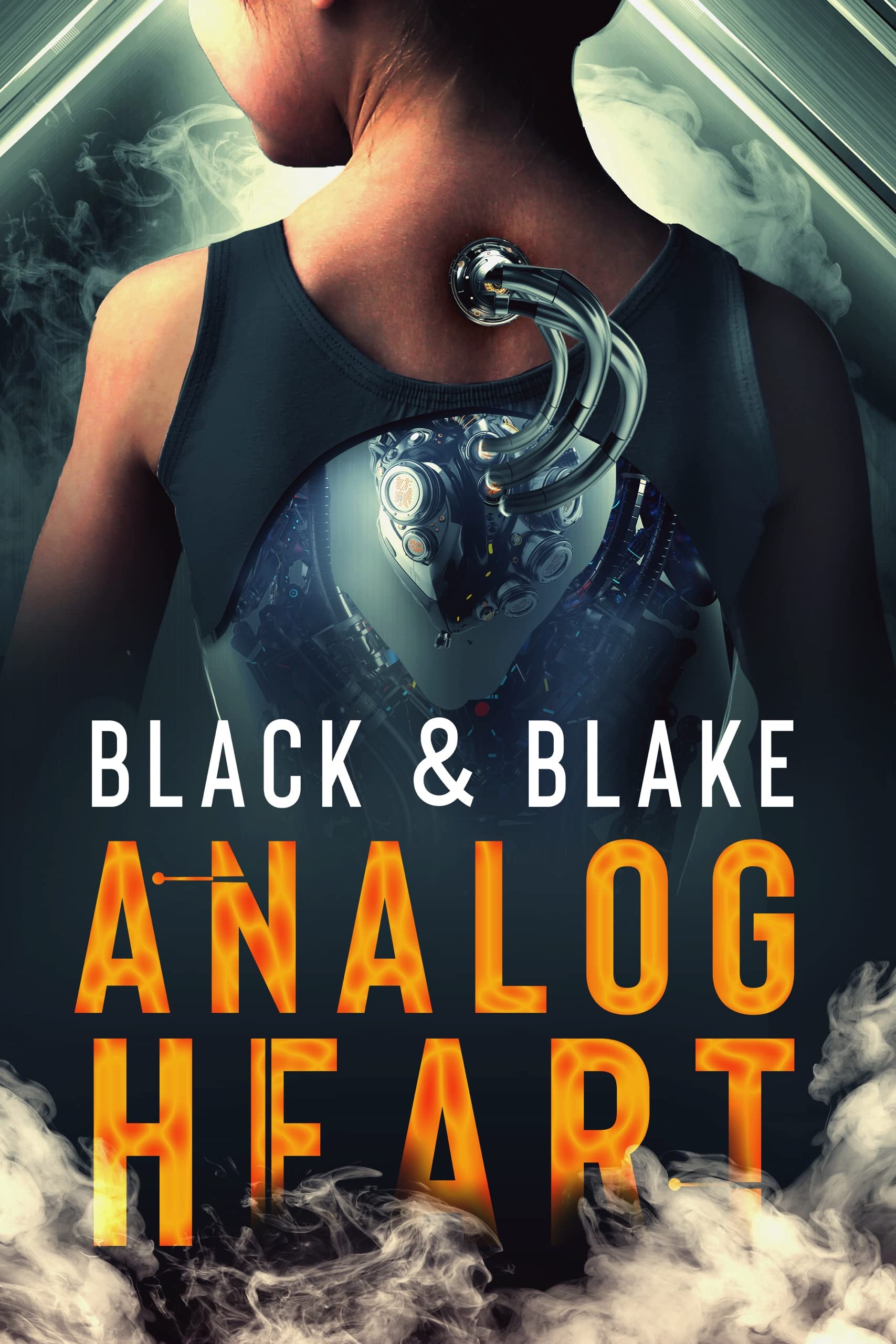 Analog Heart book cover