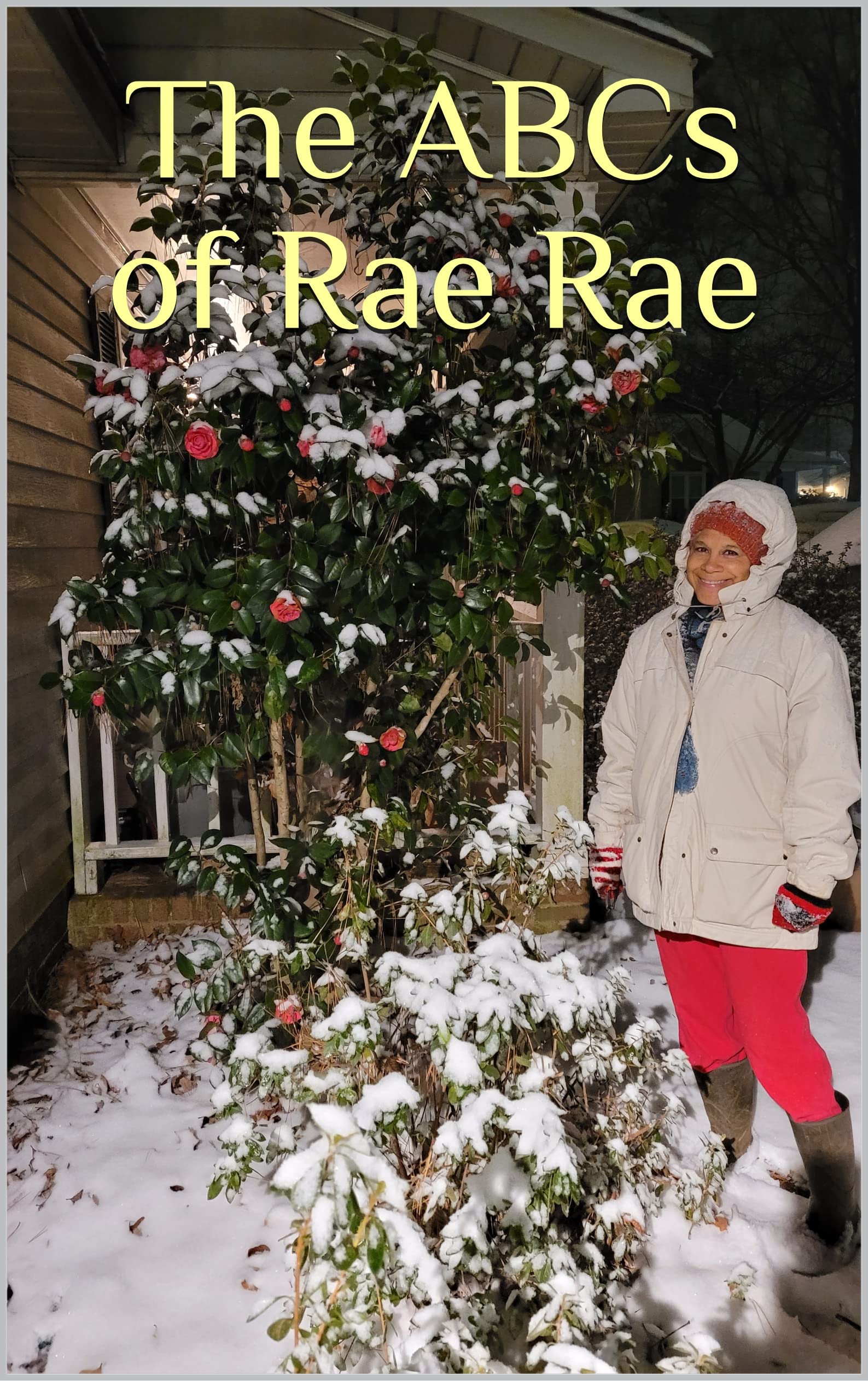 The ABCs of Rae Rae by David Klein Goodreads