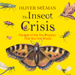 The Insect Crisis: The Fall of the Tiny Empires That Run the World