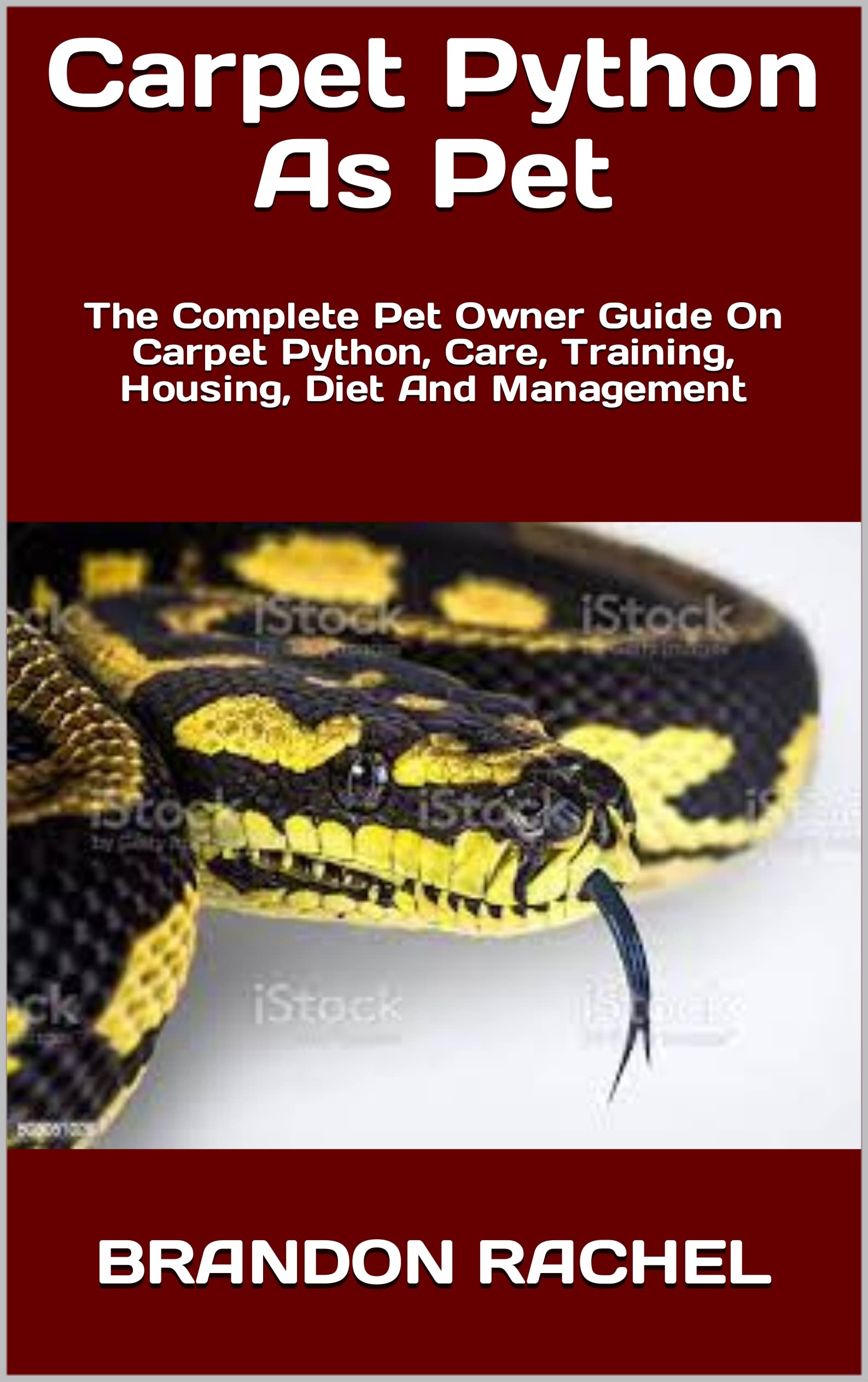 Carpet Python As Pet The Complete Pet Owner Guide On Carpet Python