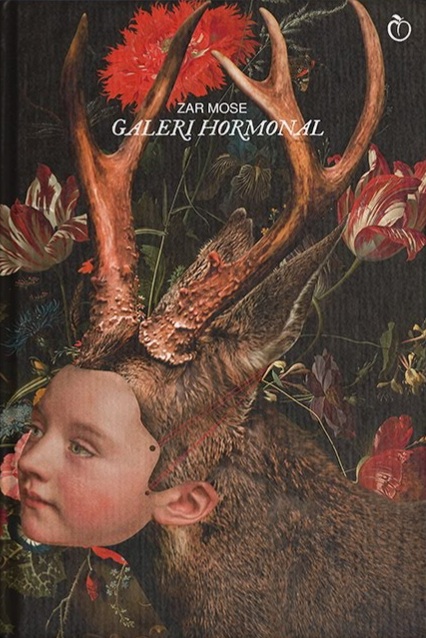 Galeri Hormonal book cover