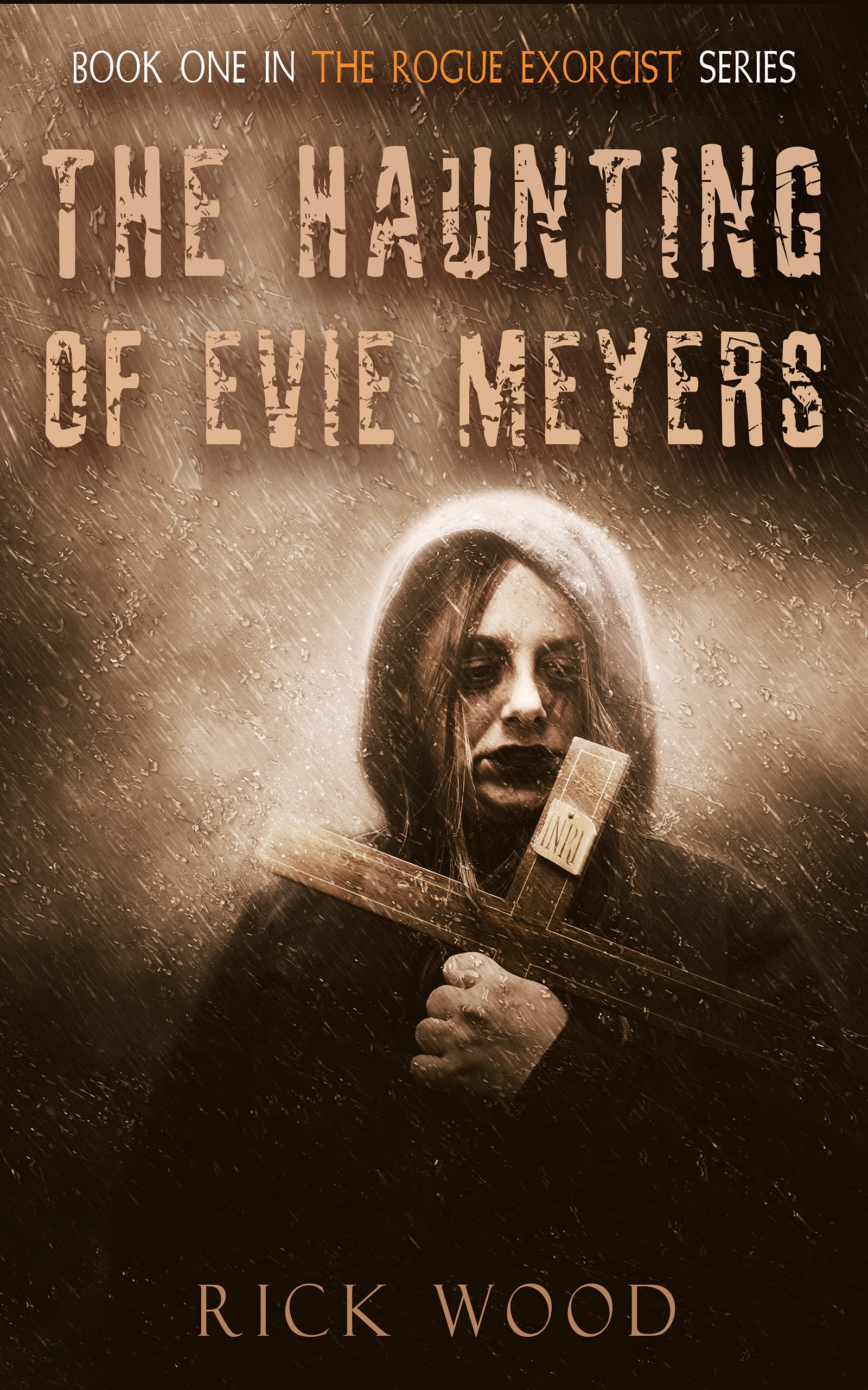The Haunting of Evie Meyers book cover