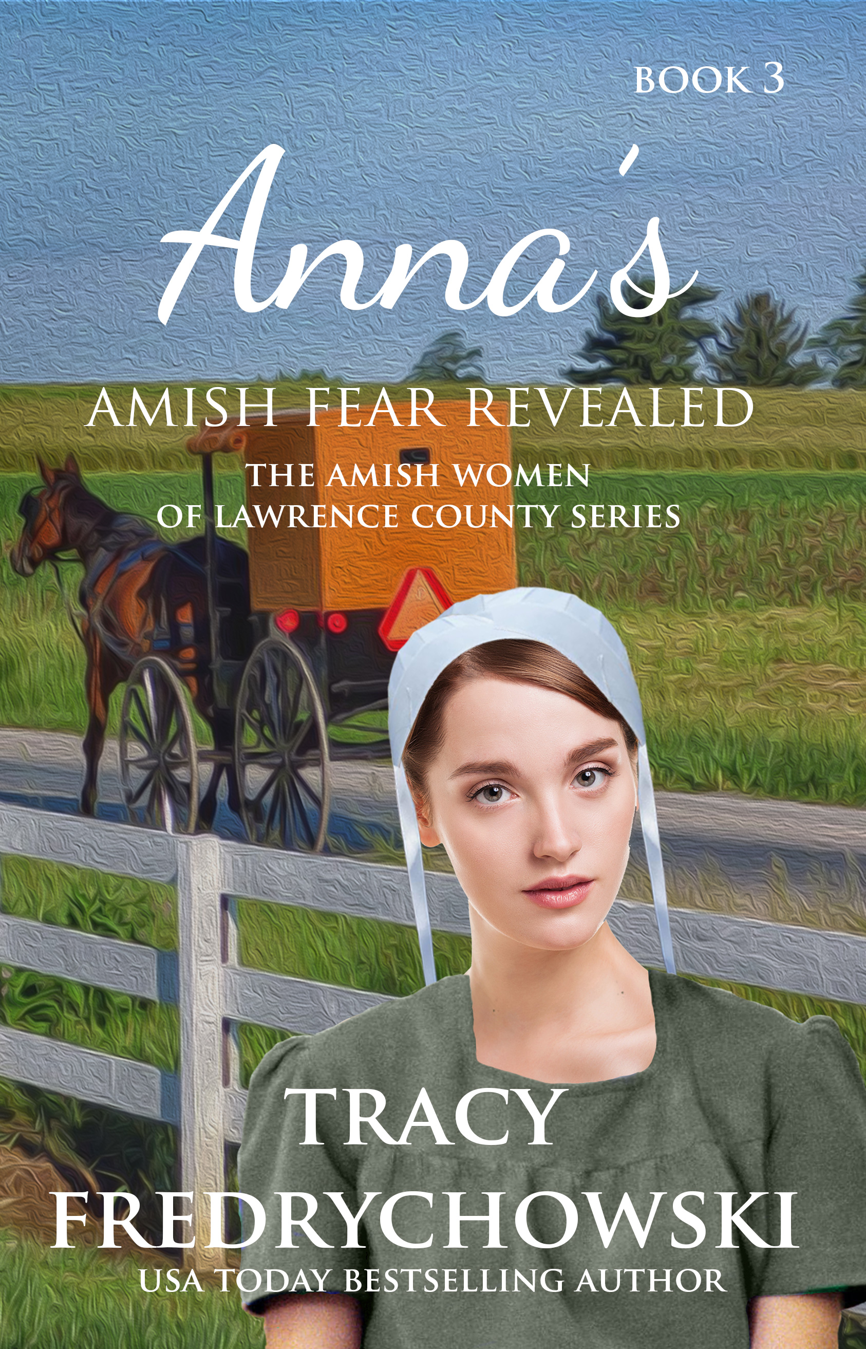 The Amish Women of Lawrence County book cover 3