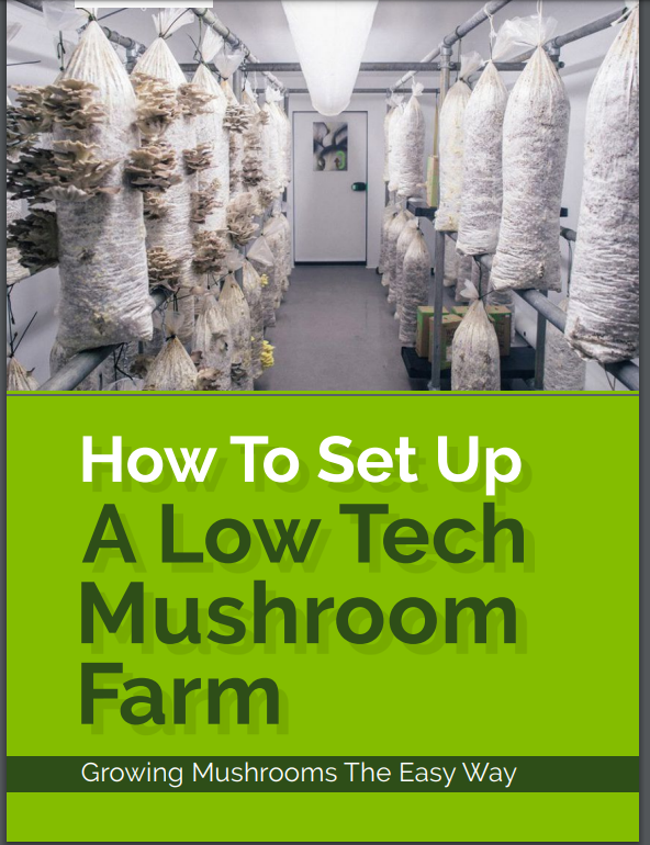 How To Setup Up A Low Tech Mushroom Farm Growing Mushrooms The Easy how-to-setup-up-a-low-tech-mushroom-farm-growing-mushrooms-the-easy