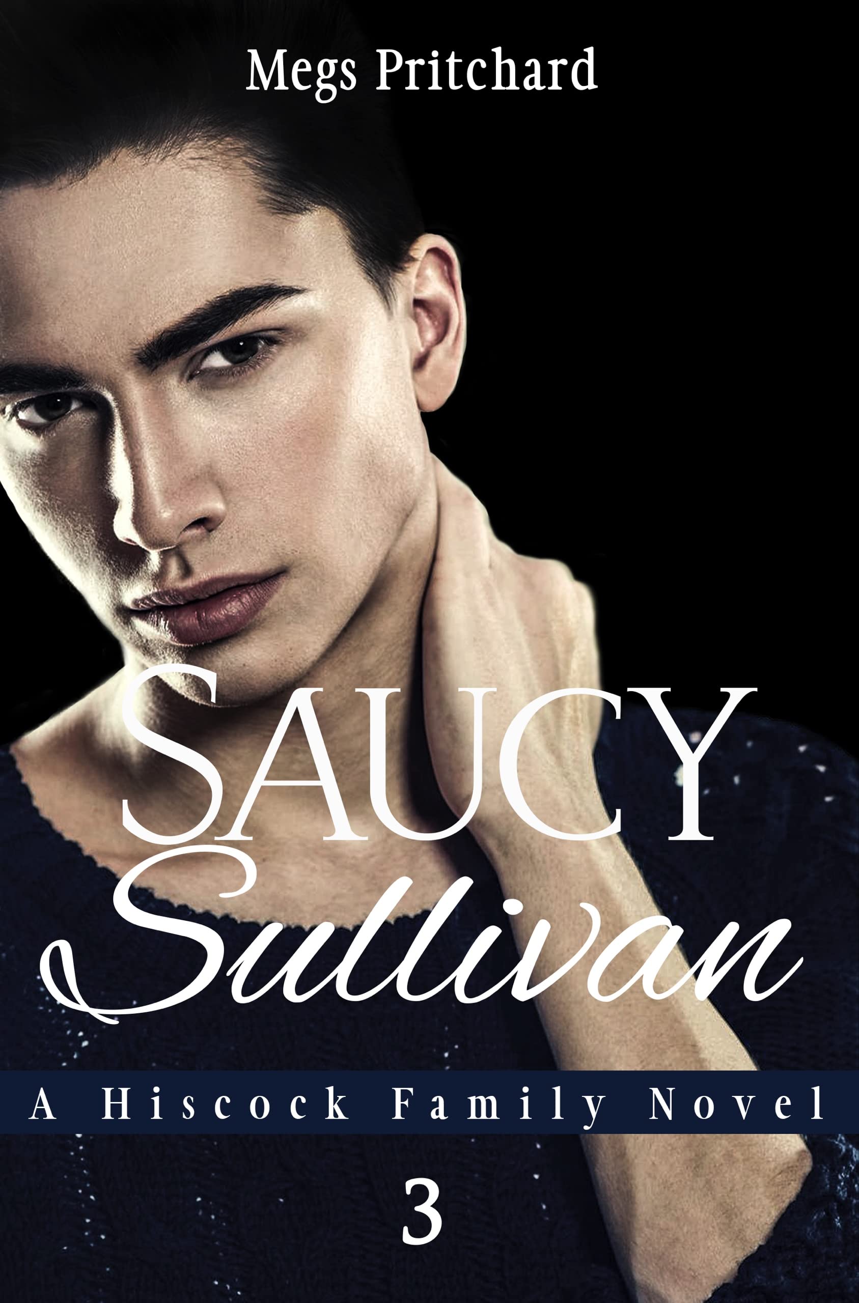 Saucy Sullivan book cover