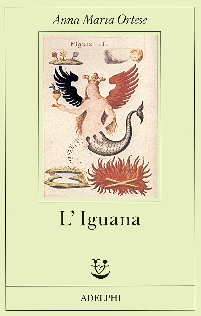 The Iguana book cover