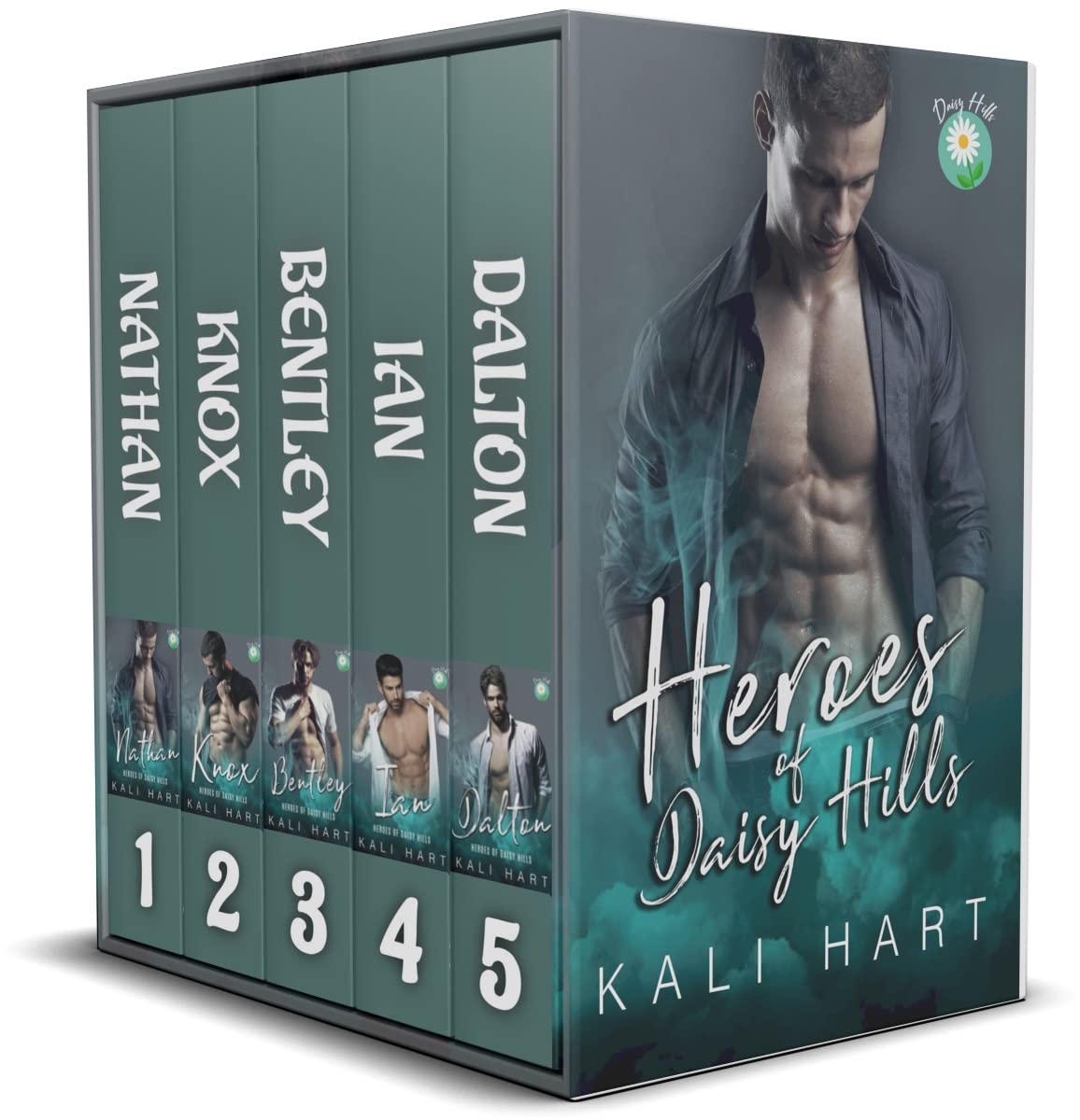 Heroes of Daisy Hills Collection book cover