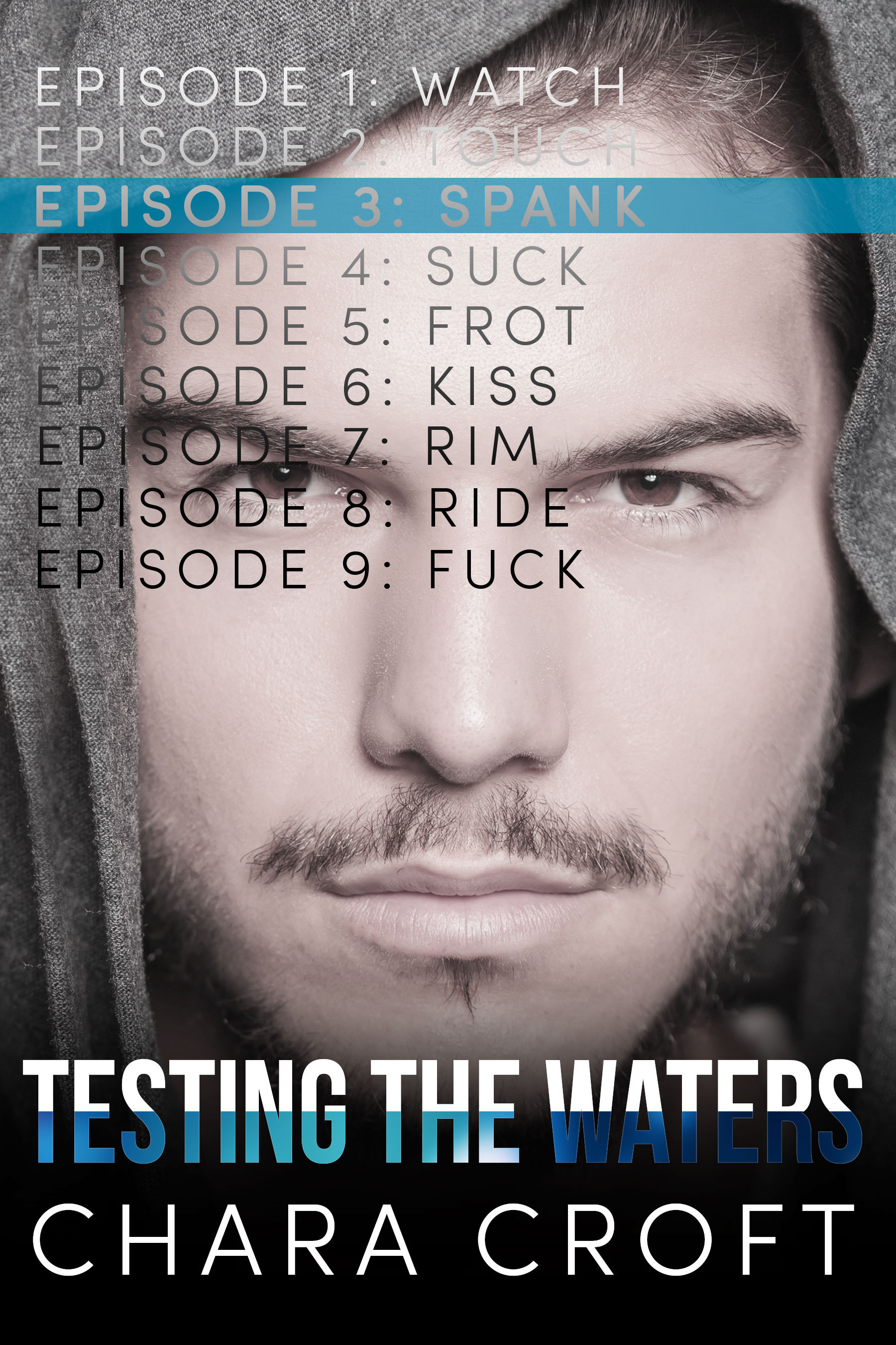 Testing the Waters book cover 3