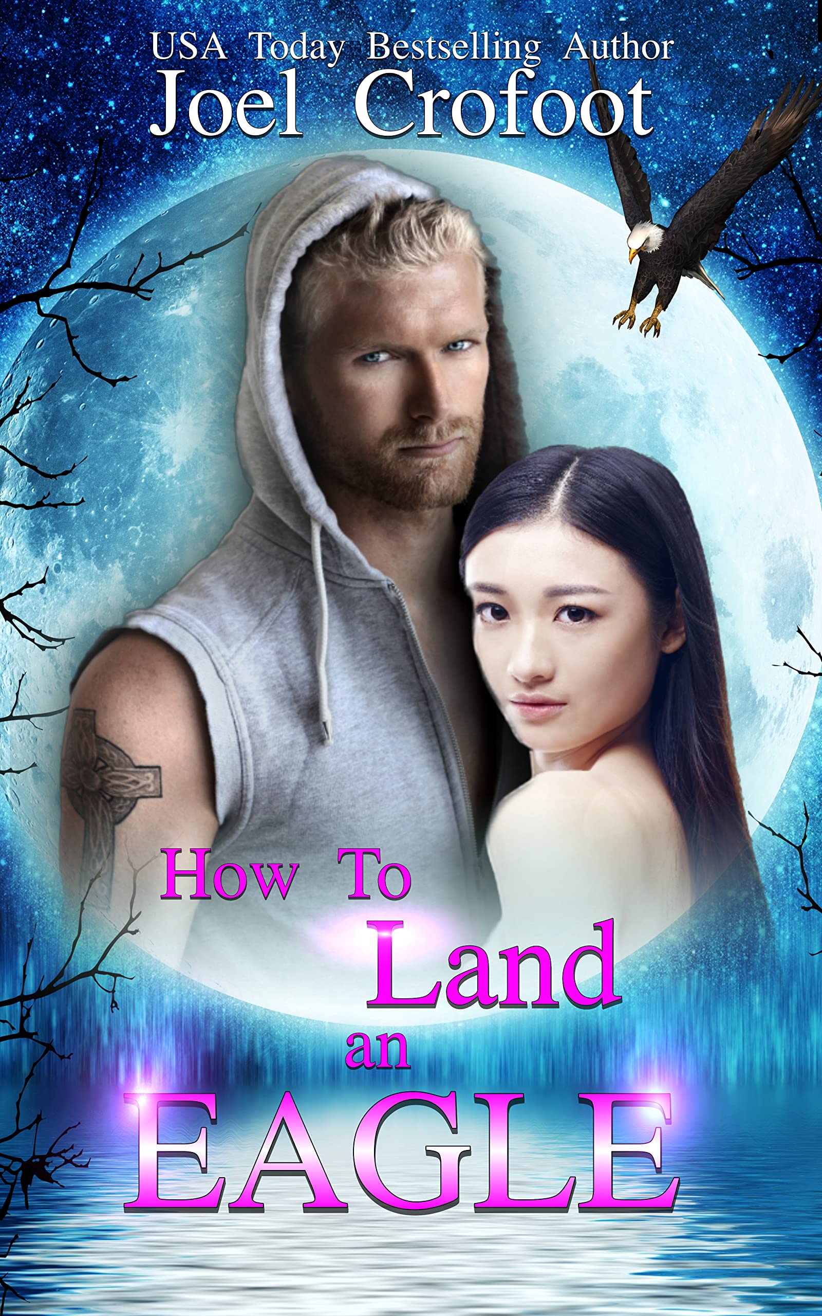 How to Land an Eagle book cover
