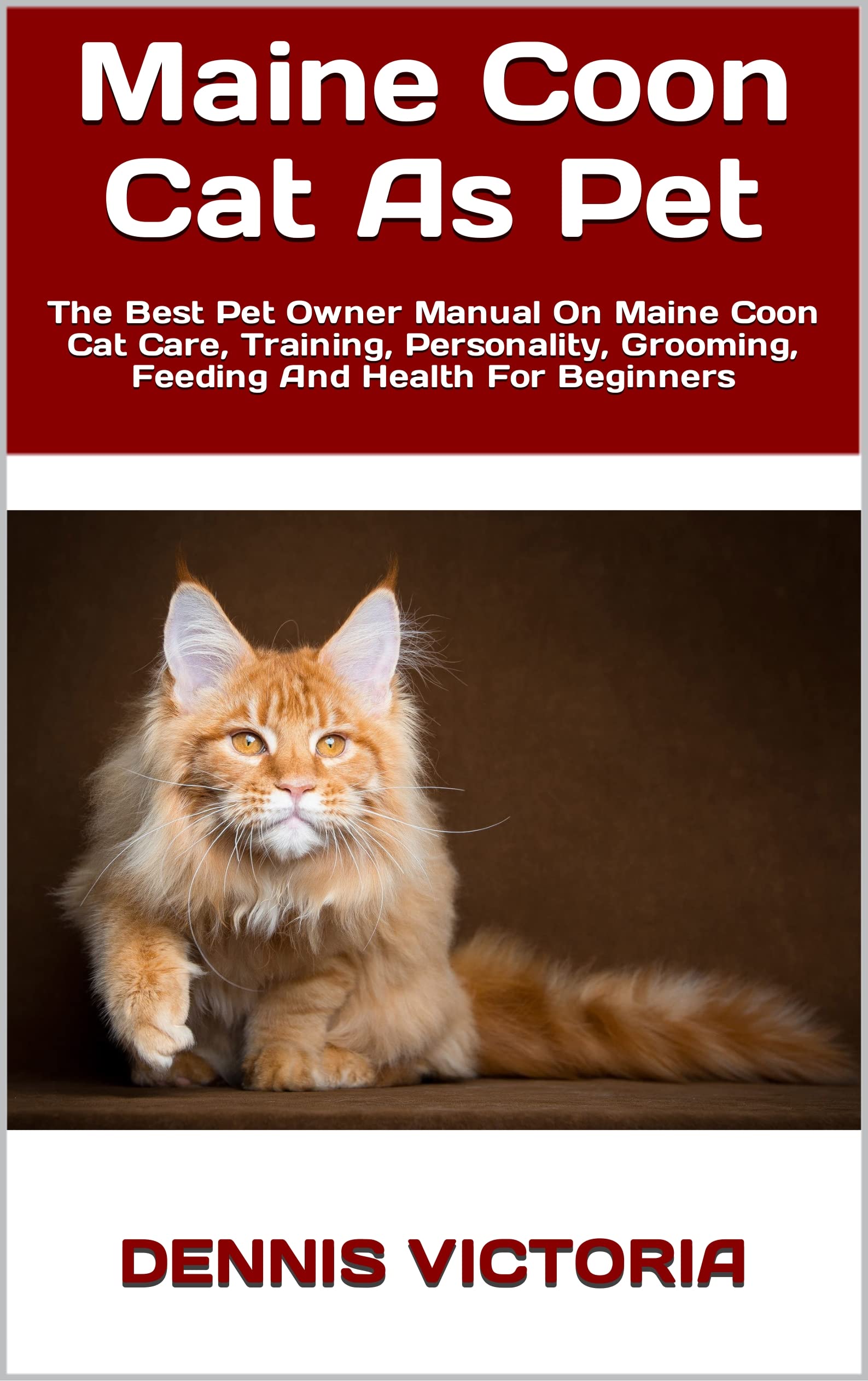 Maine Coon Cat As Pet The Best Pet Owner Manual On Maine Coon Cat