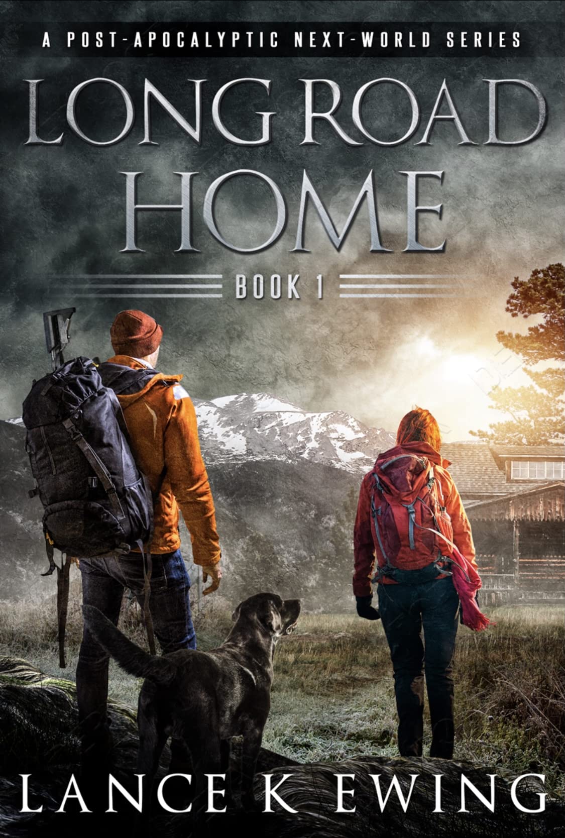 Long Road Home: A Post-Apocalyptic Next-World Series Volume 1