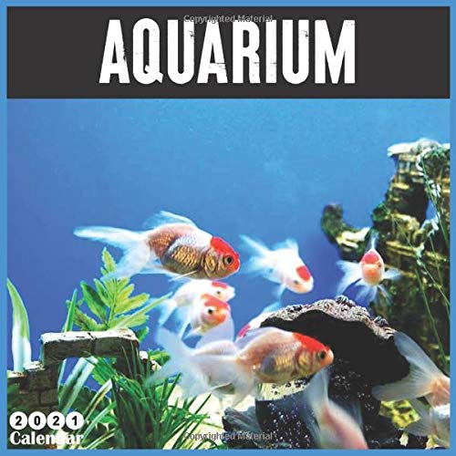 Aquarium 2021 Calendar Official Aquarium Wall Calendar 2021, 16 Months