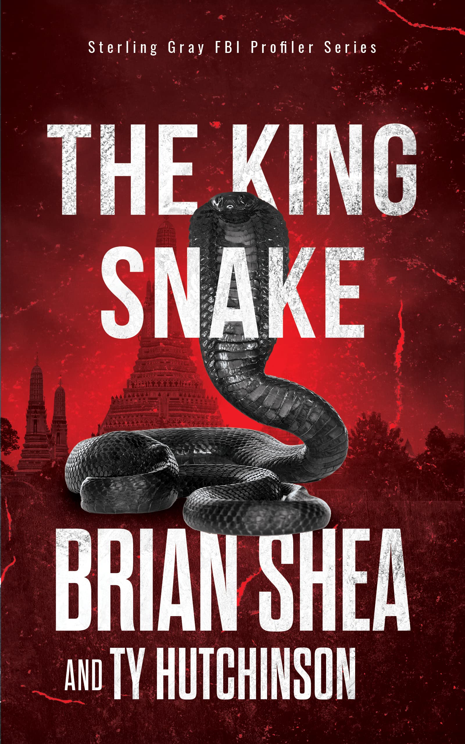 The King Snake book cover