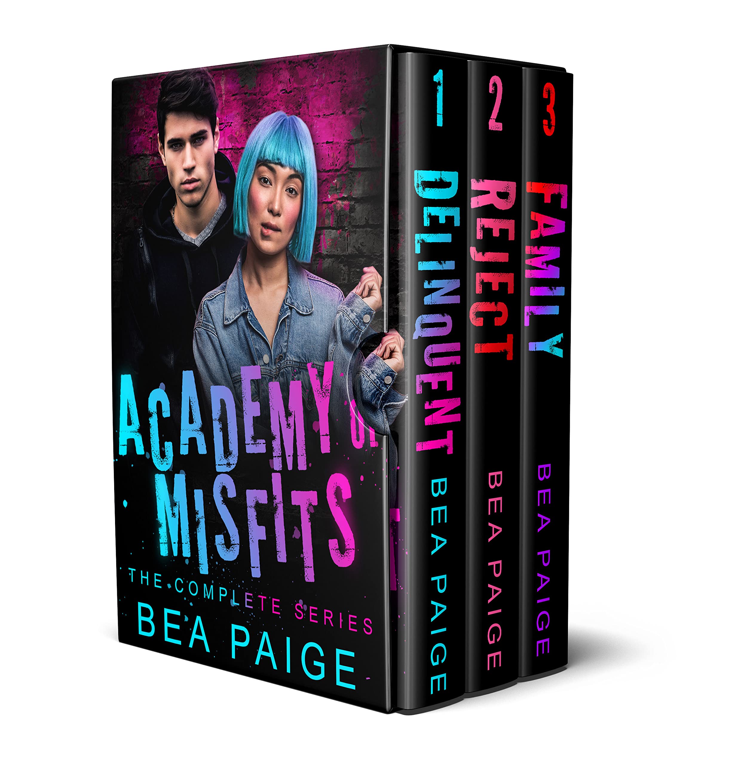 Academy of Misfits book cover