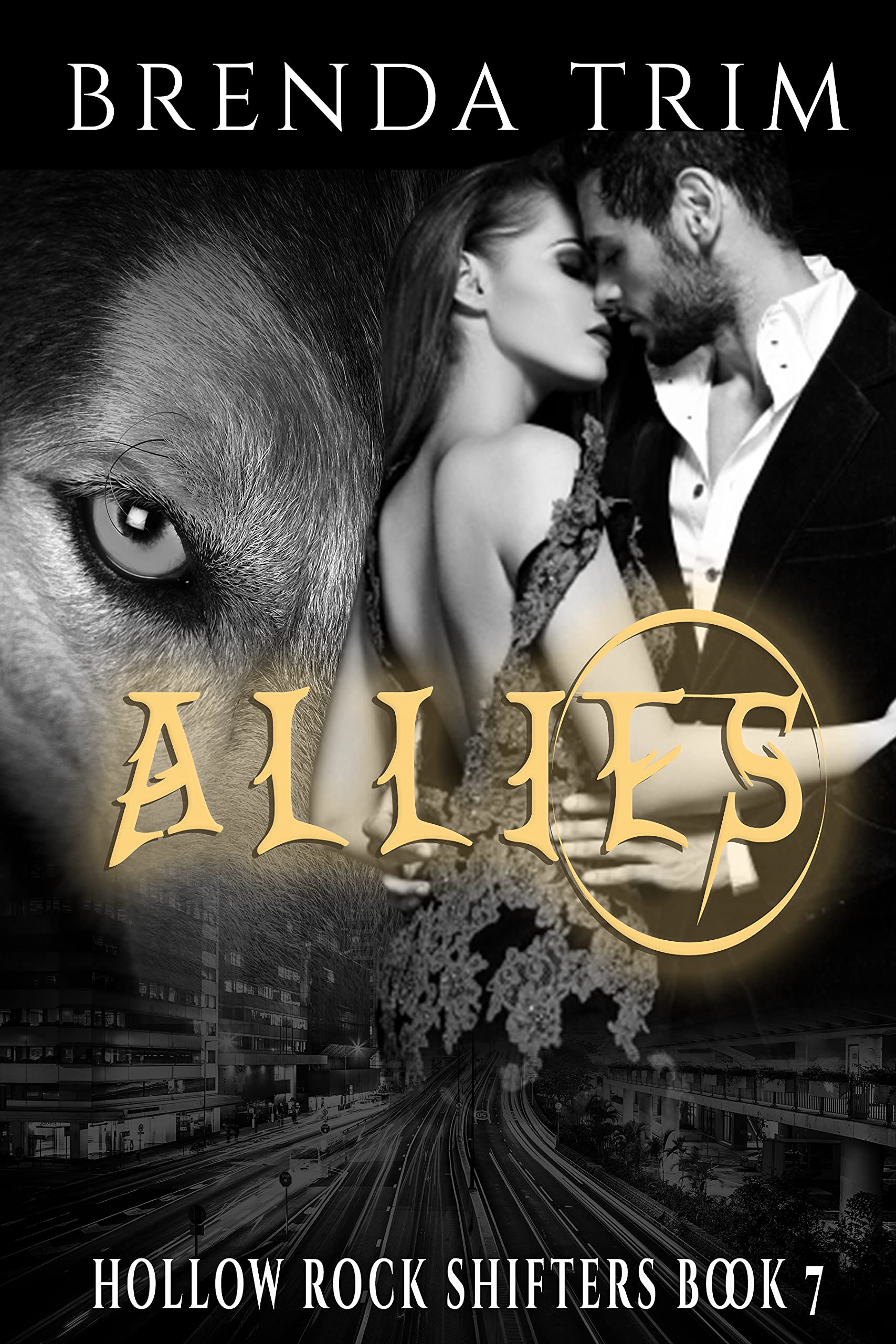 Allies book cover