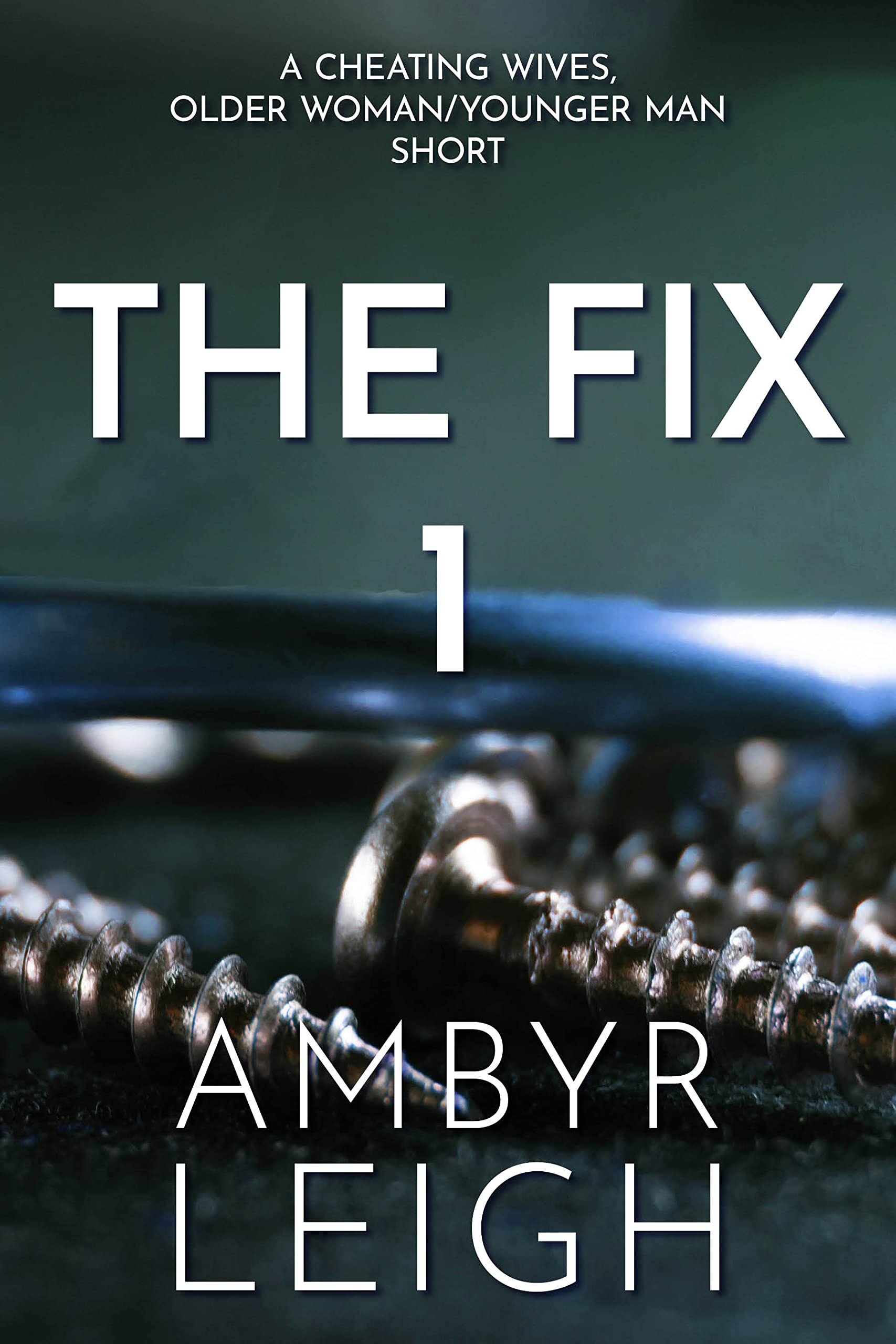 The Fix 1