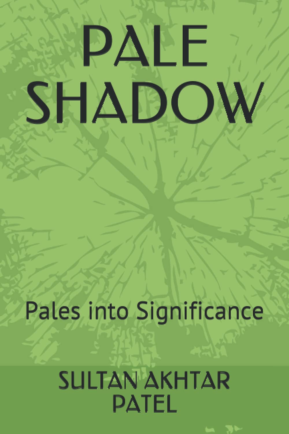 PALE SHADOW Pales into Significance by SULTAN AKHTAR PATEL Goodreads