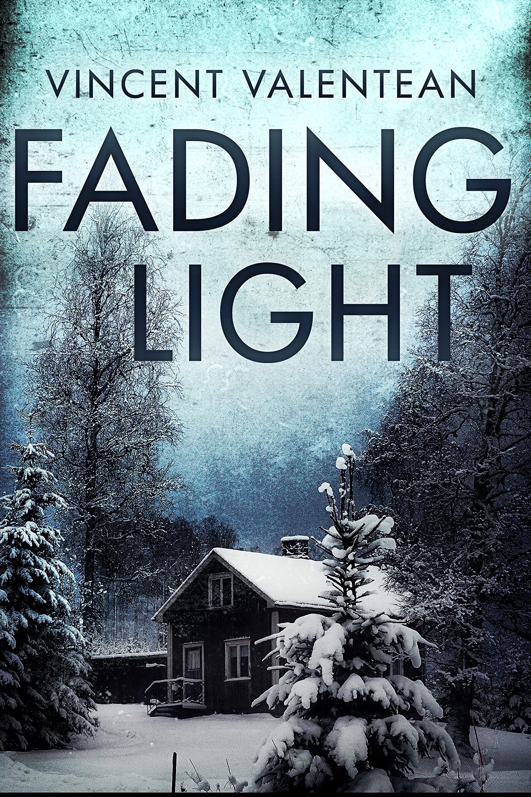Fading Light book cover
