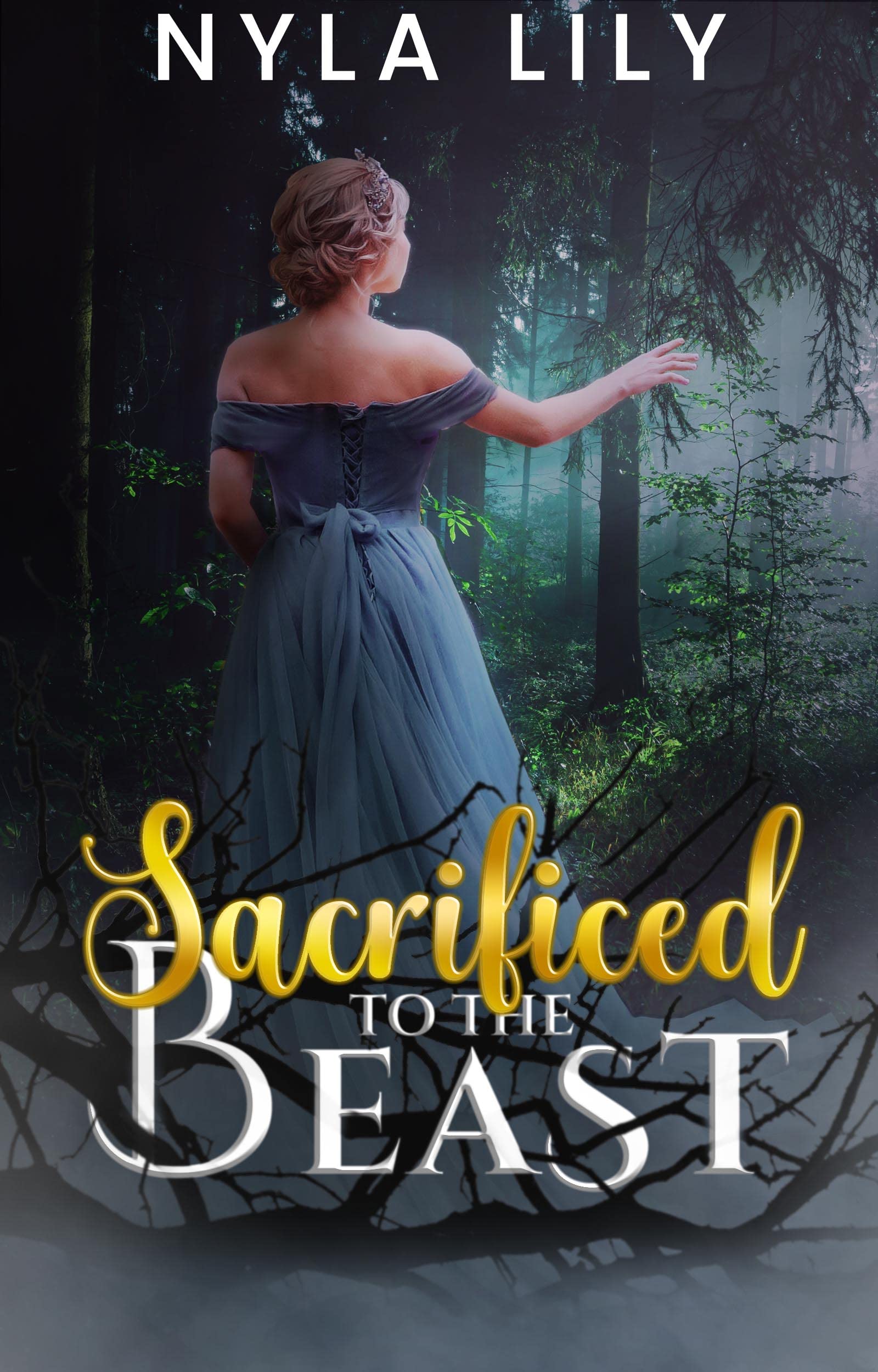 Fairytale Fantasies book cover 1