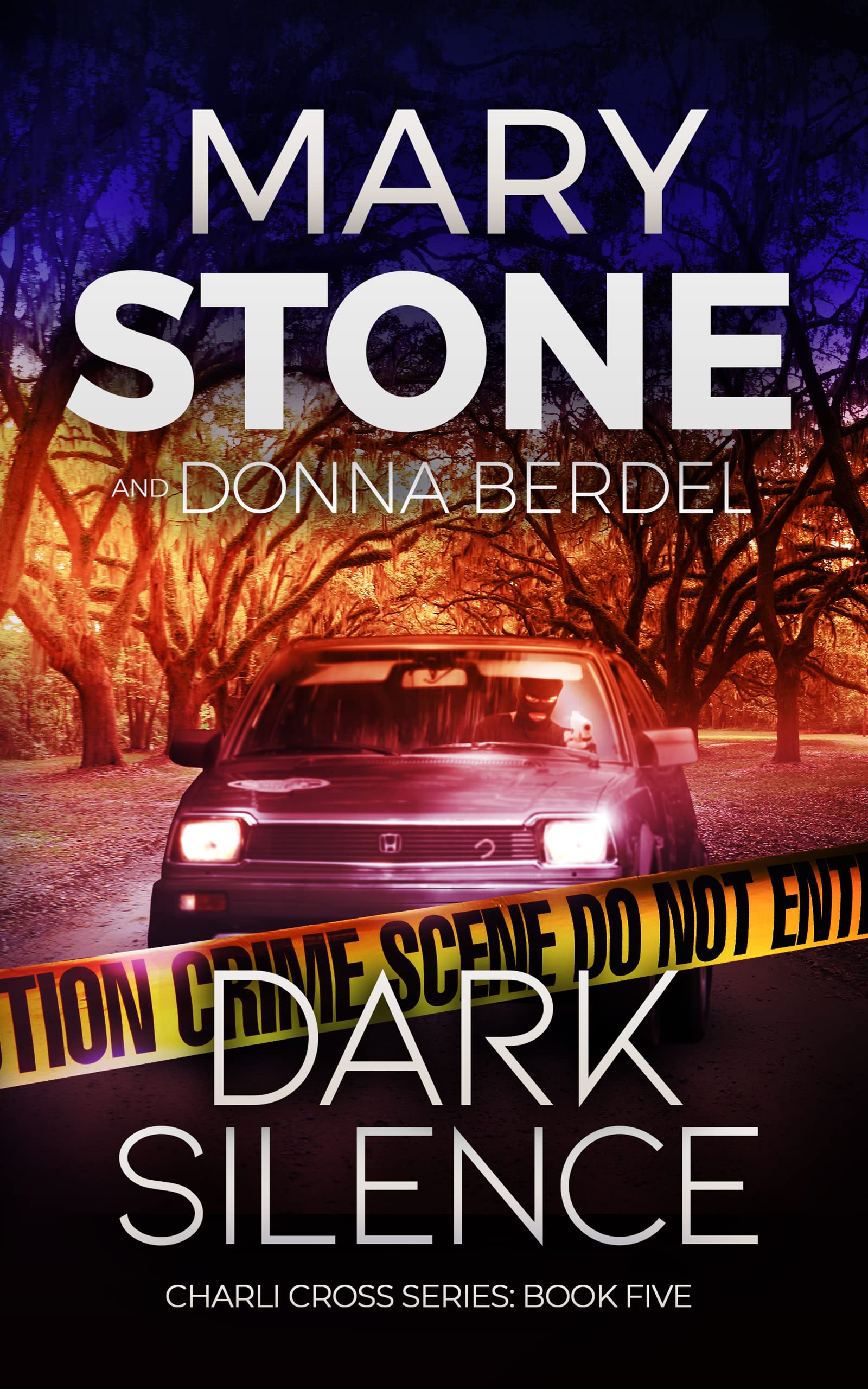 Dark Silence book cover