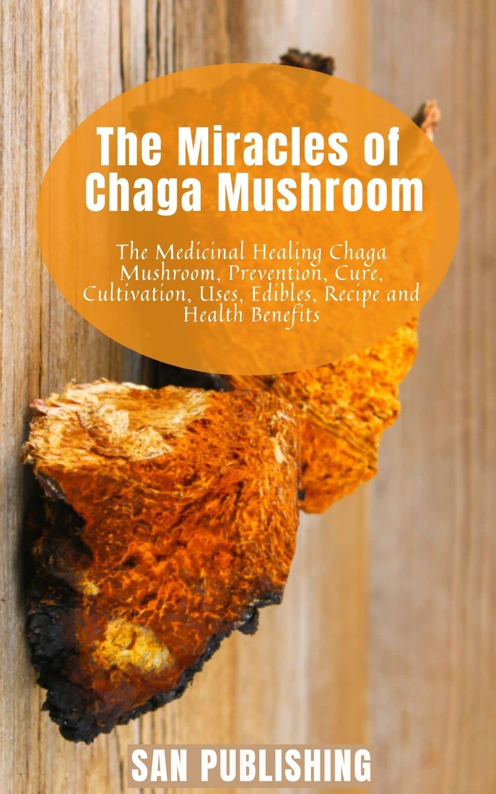 The Miracles of Chaga Mushroom The Medicinal Healing Chaga Mushroom