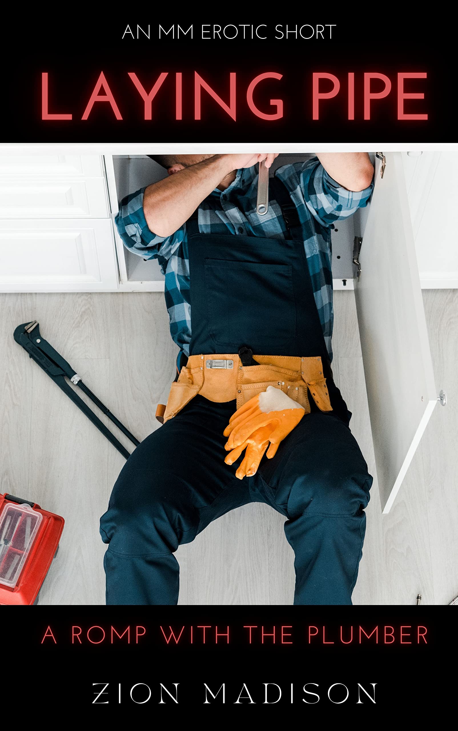 Laying Pipe: A Romp with the Plumber by Zion Madison | Goodreads