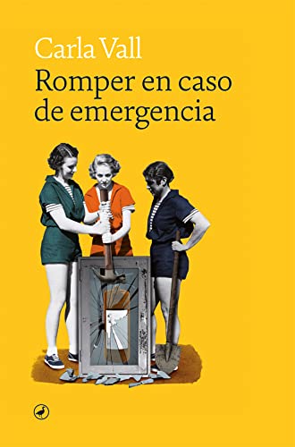 Romper en caso de emergencia: Manual para víctimas y supervivientes de violencias de género