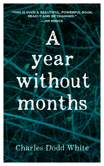 A Year without Months