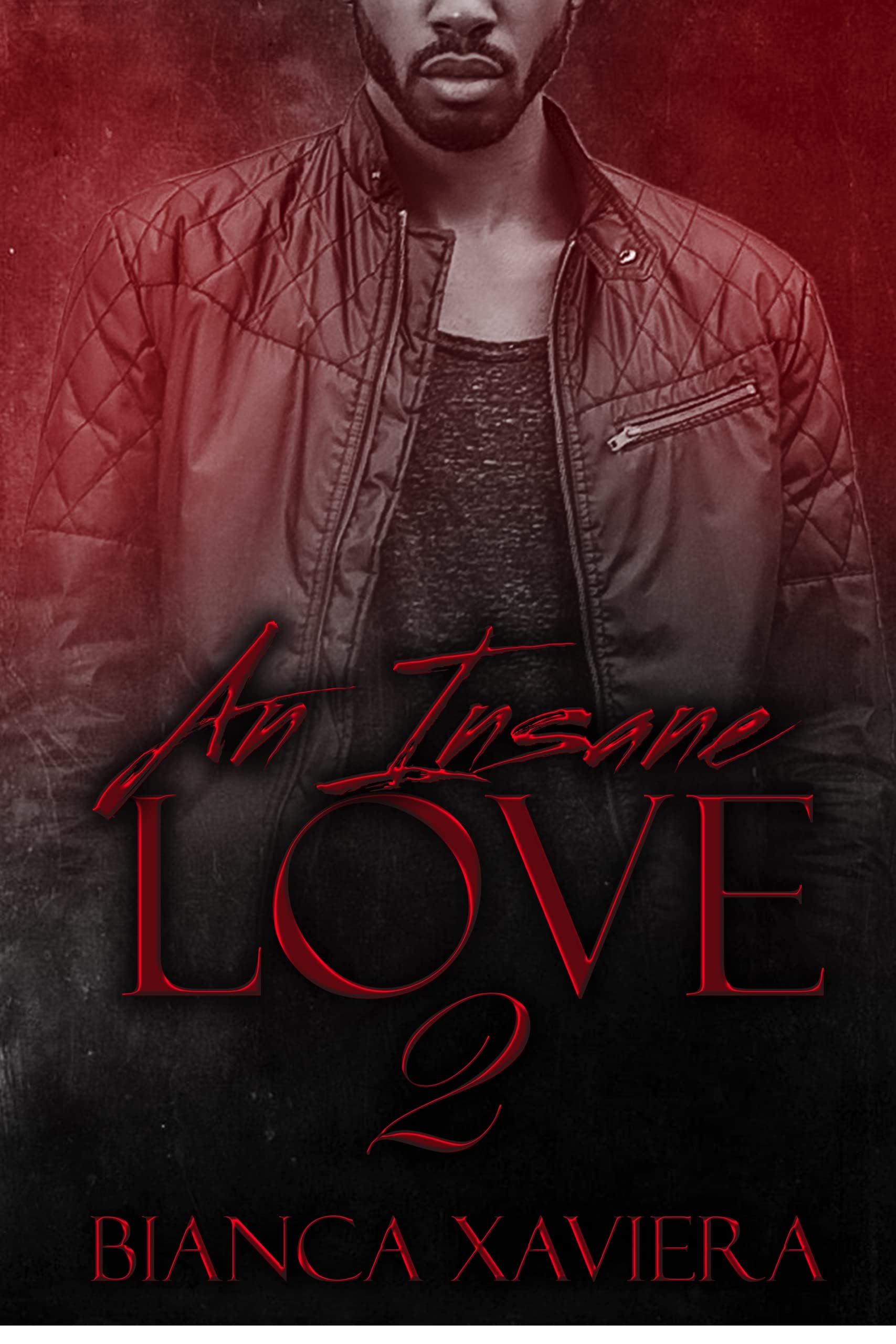 An Insane Love 2 book cover