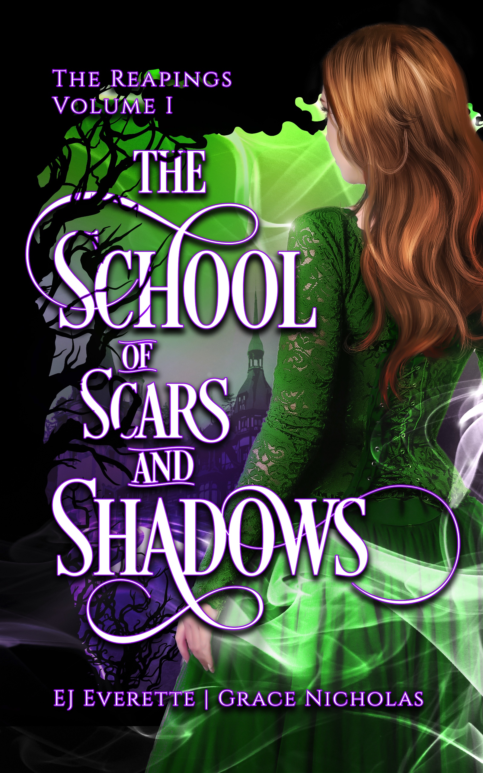 The School of Scars and Shadows book cover