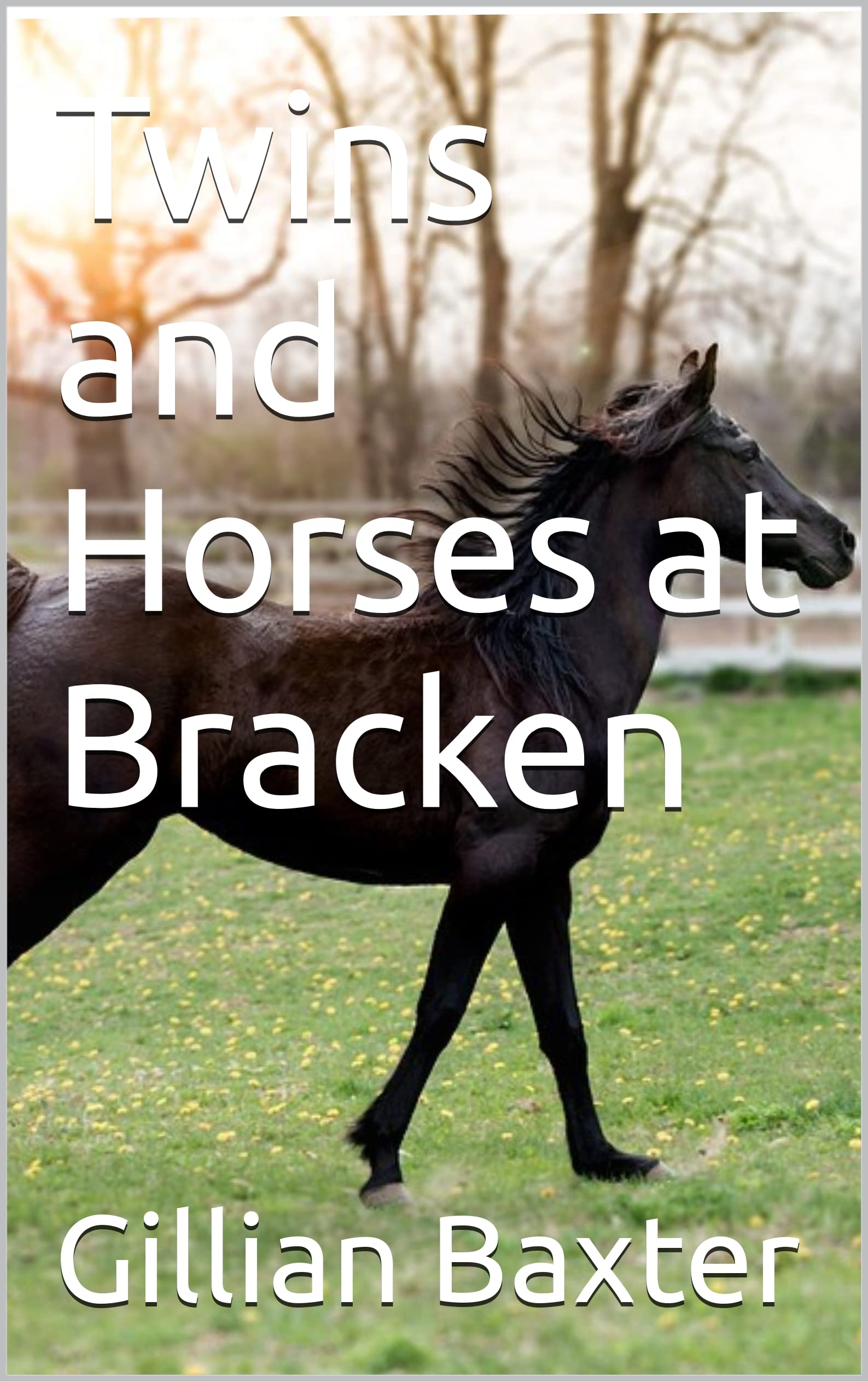 Twins and Horses at Bracken