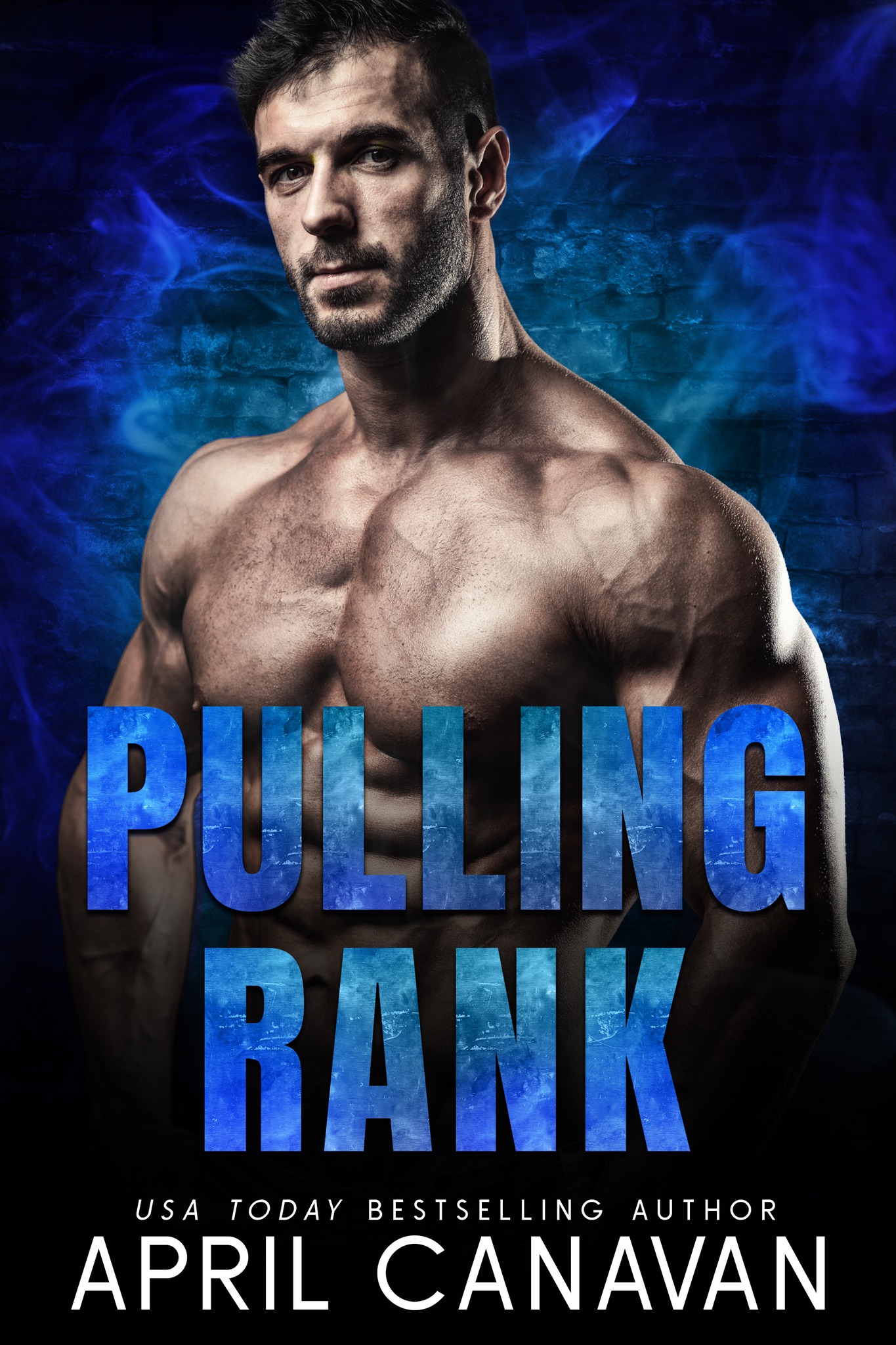 Pulling Rank (Birch Fire Department 4) by April Canavan Goodreads