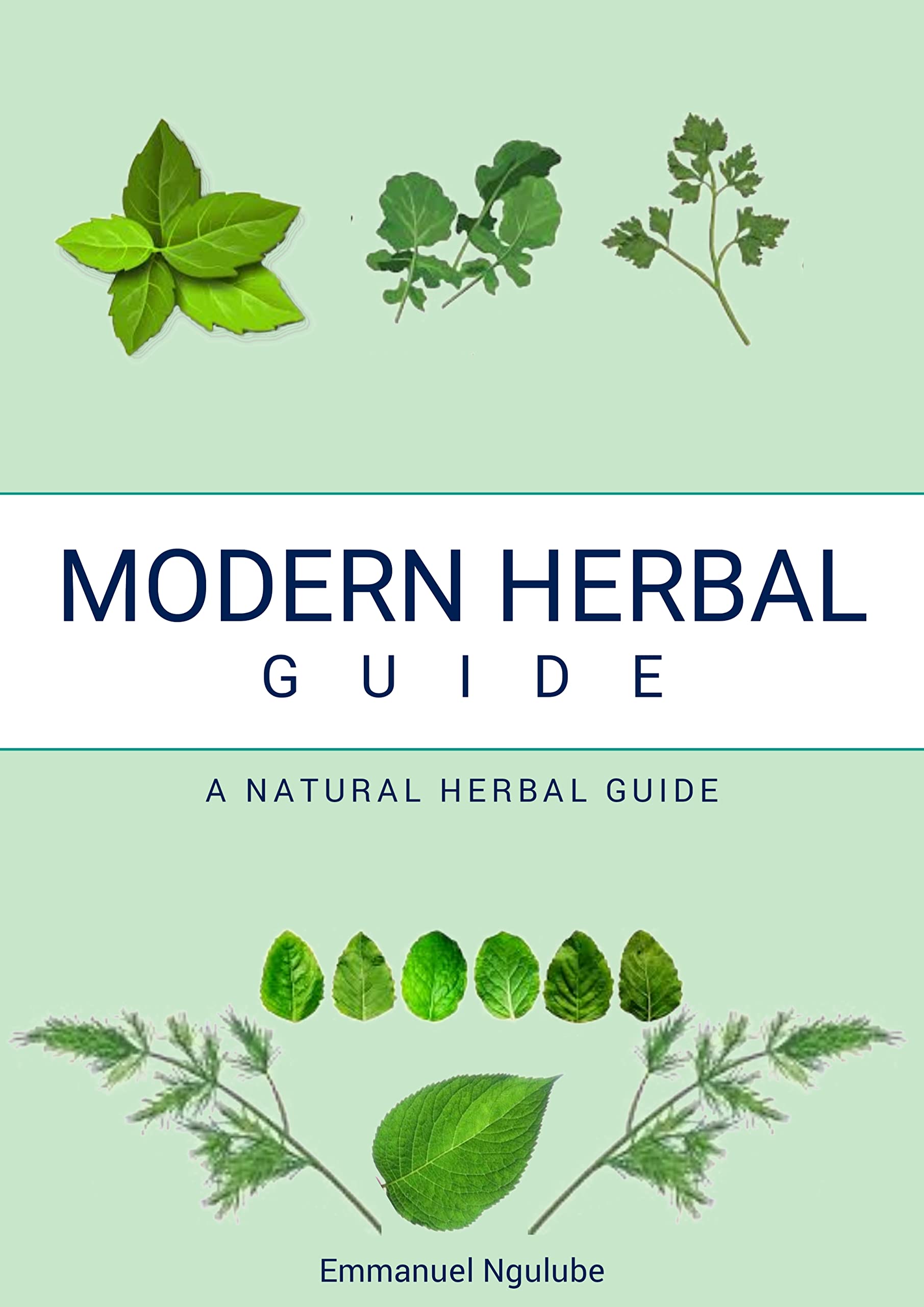 Natural Home Remedies Book Detailed and easy remedies for various