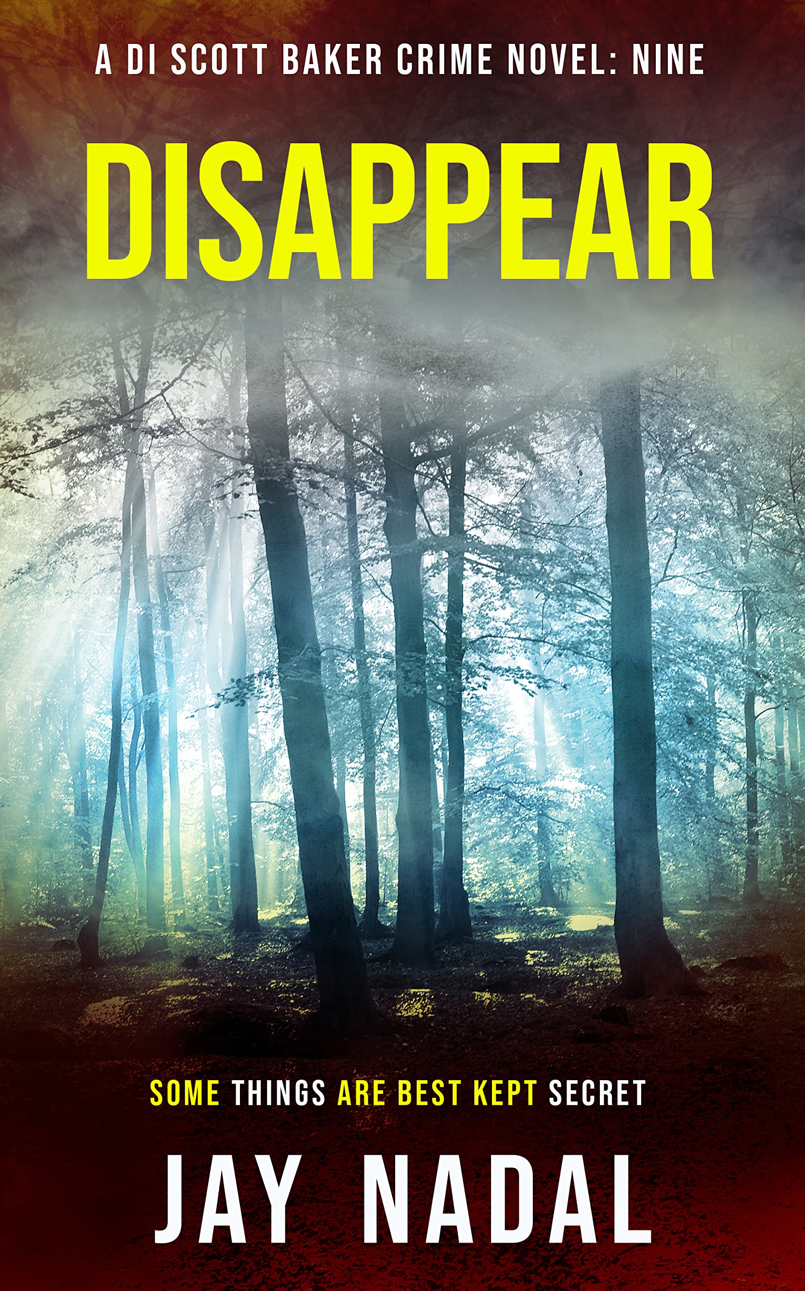 Disappear book cover