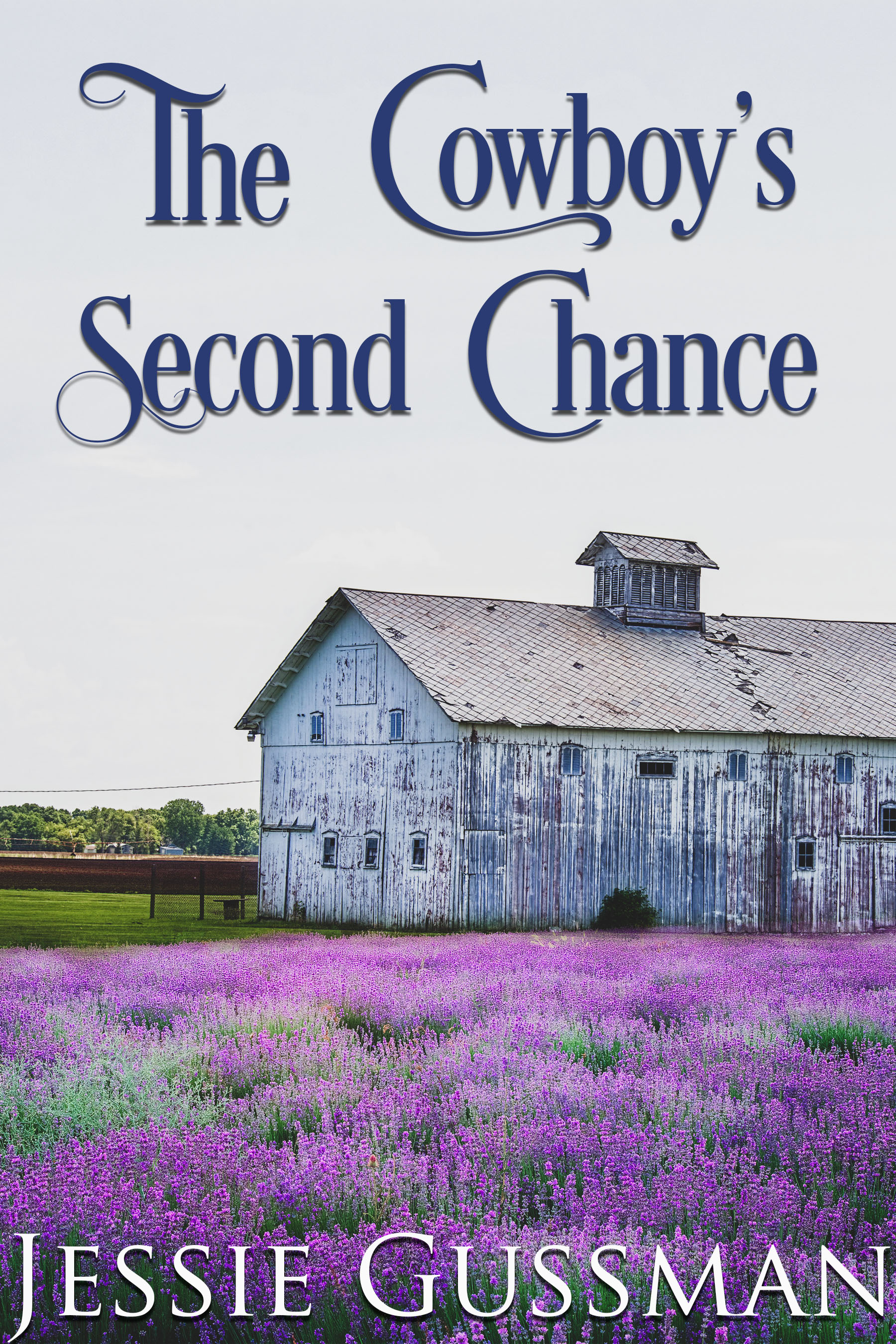 The Cowboy's Second Chance