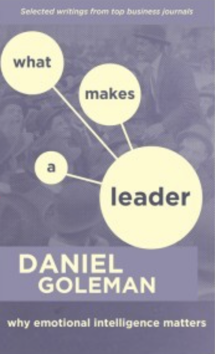 What Makes a Leader book cover
