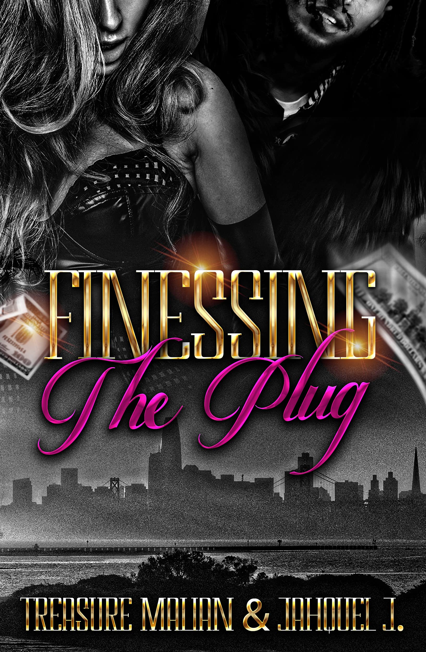 Finessing The Plug book cover