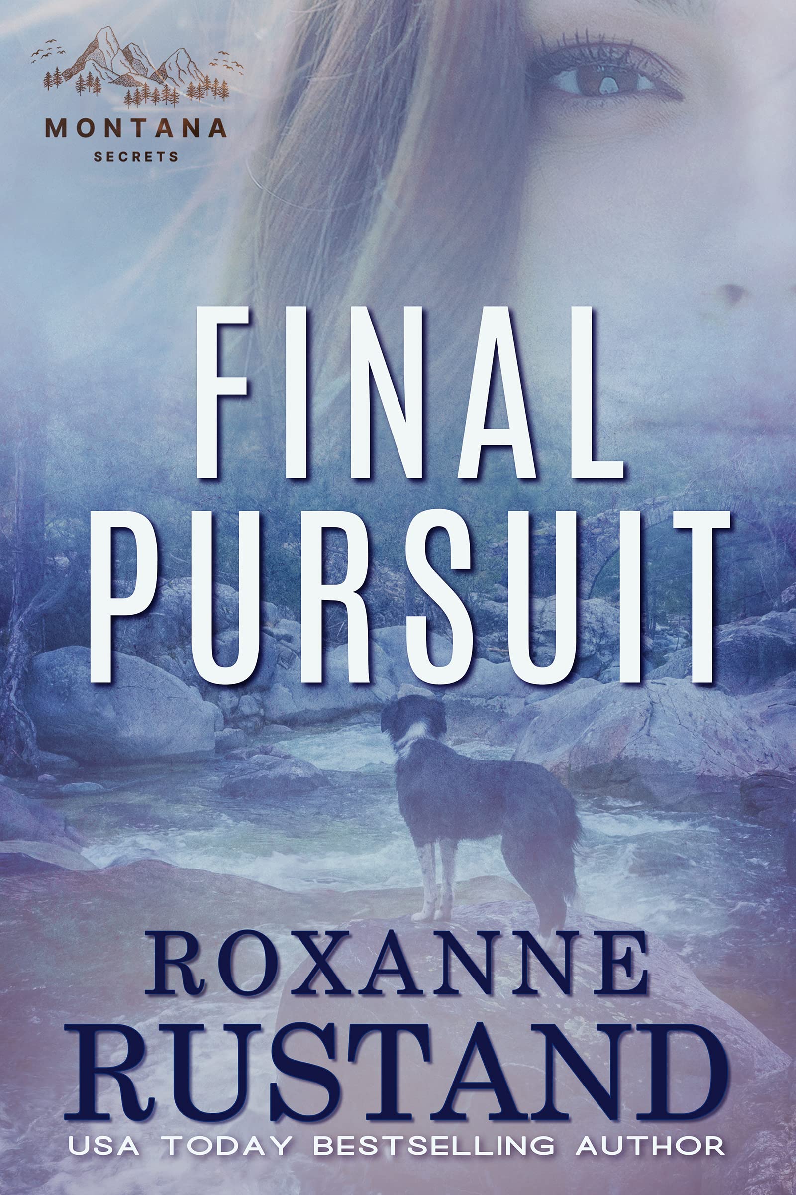 Montana Secrets book cover 3