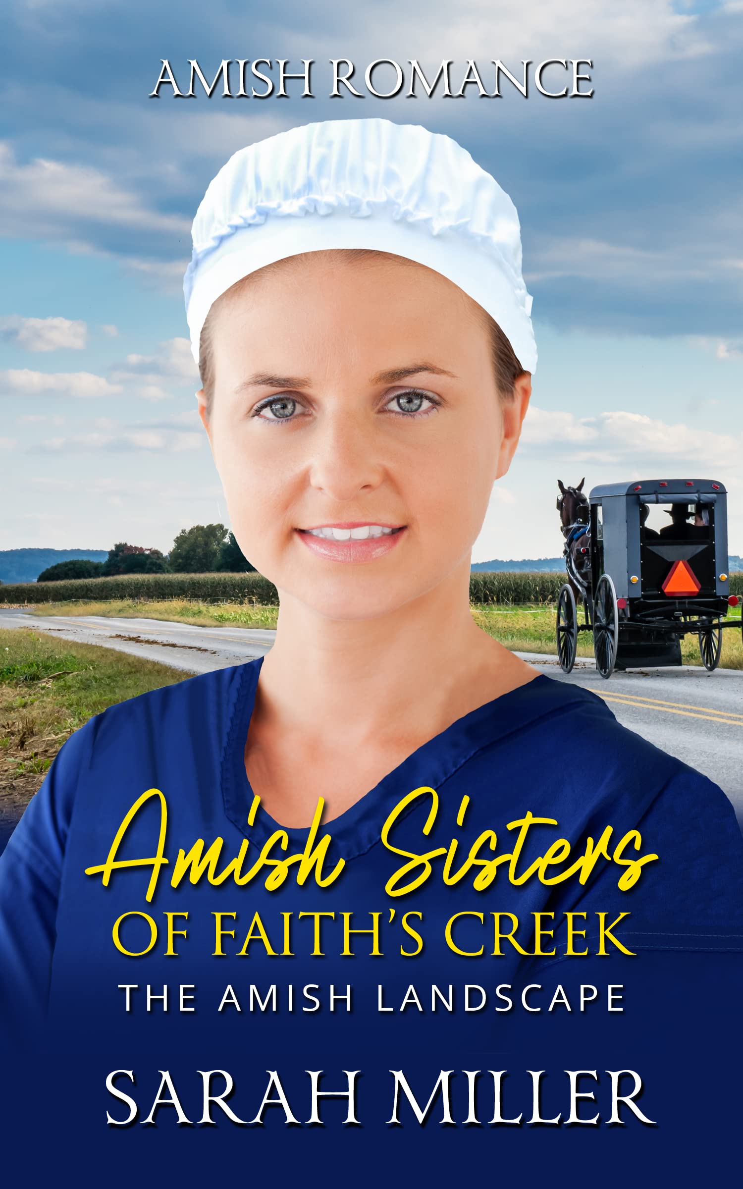 The Amish Landscape book cover
