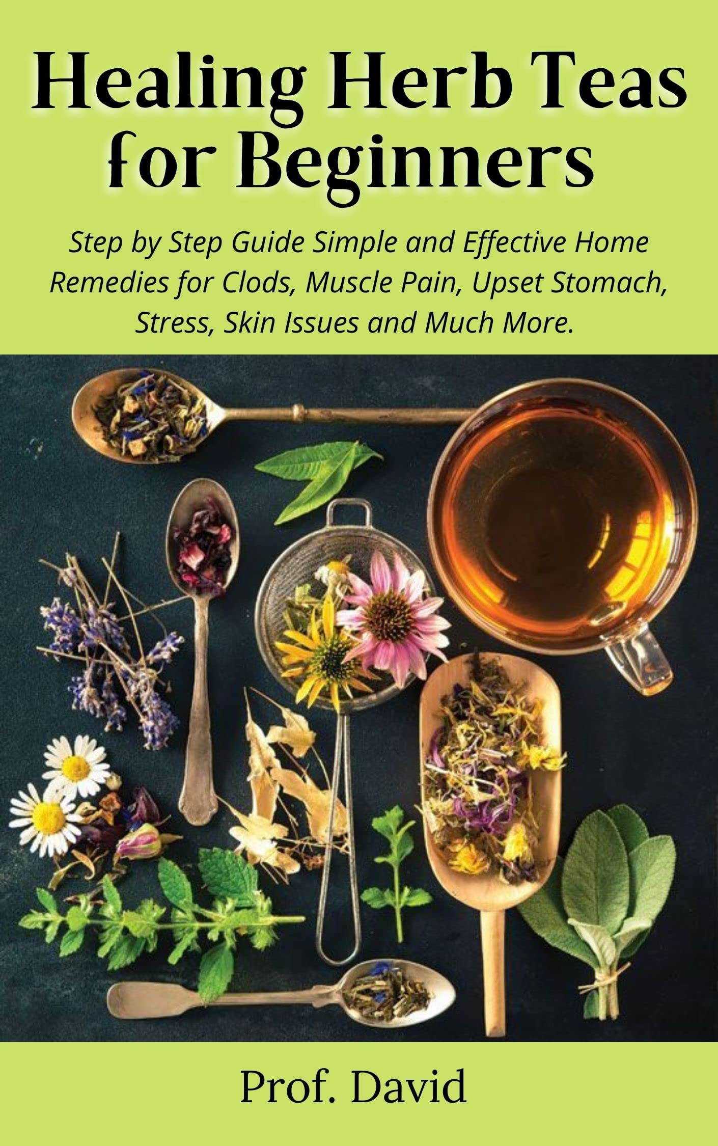 Healing Herb Teas for Beginners Step by Step Guide Simple and