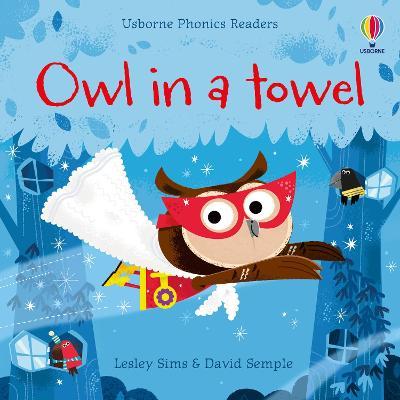 Owl in a Towel book cover