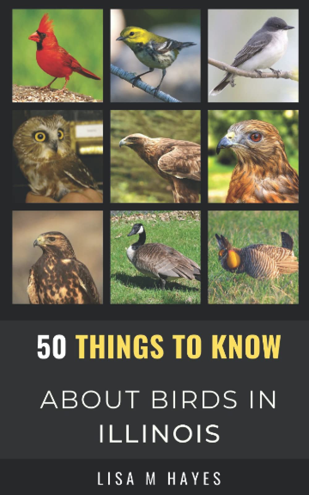50 Things to Know About Birds in Illinois Birding in the Prairie State by Lisa M Hayes Goodreads